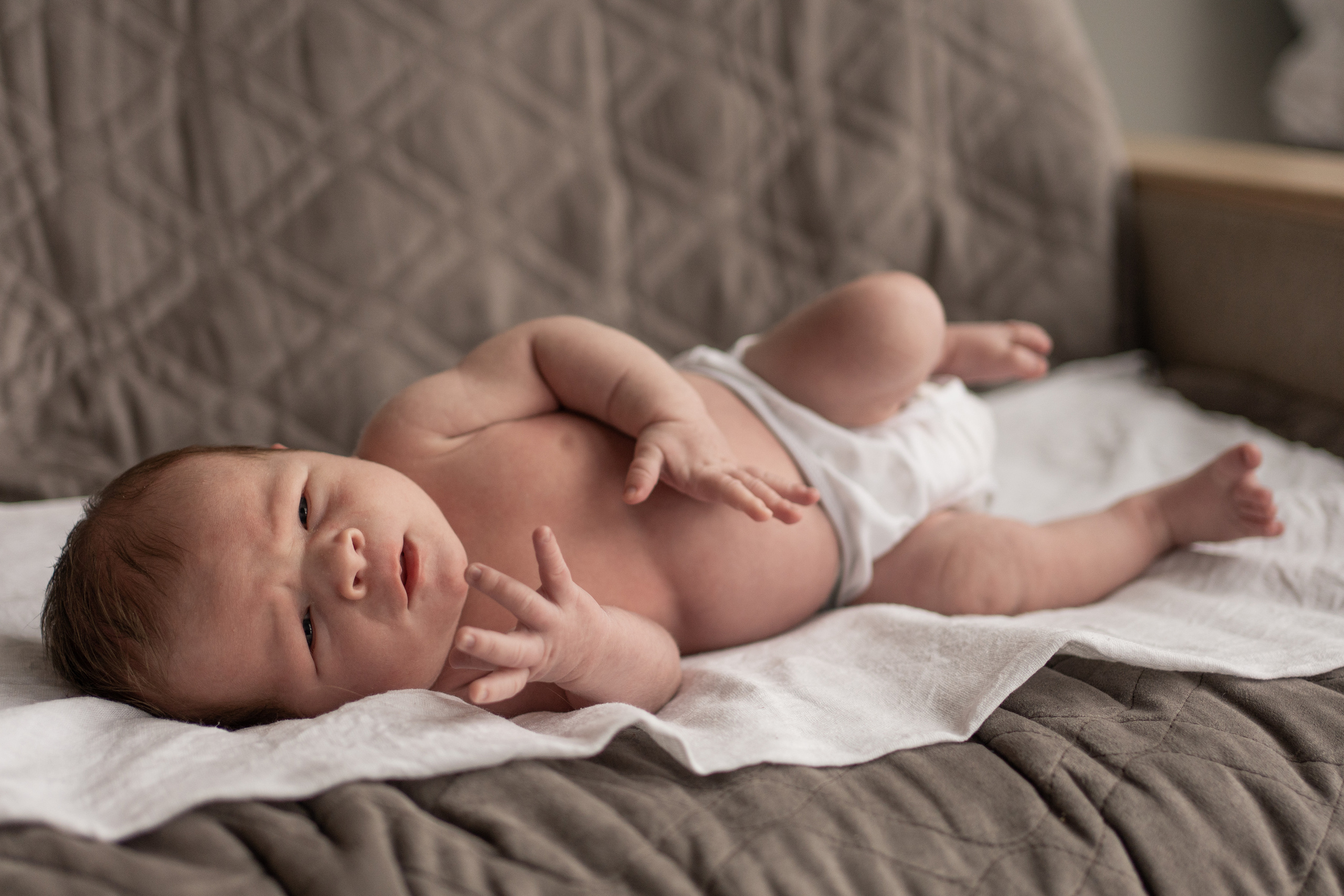 Лёва. Семейный фотограф Ефремова Виктория