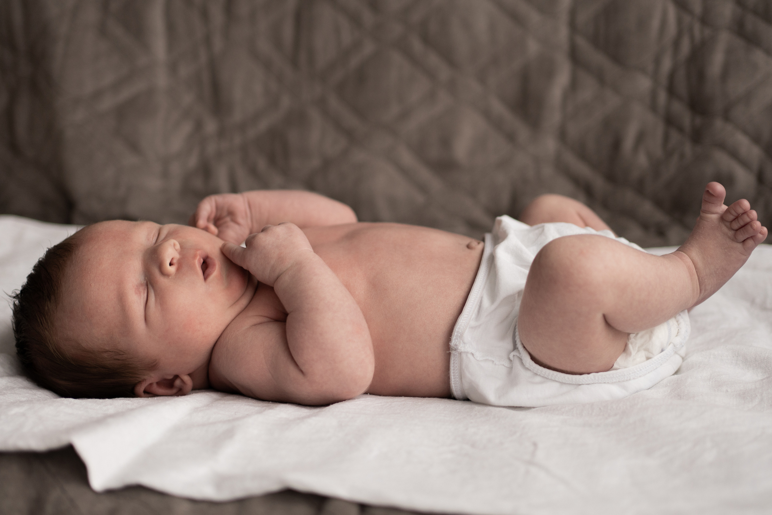 Лёва. Семейный фотограф Ефремова Виктория