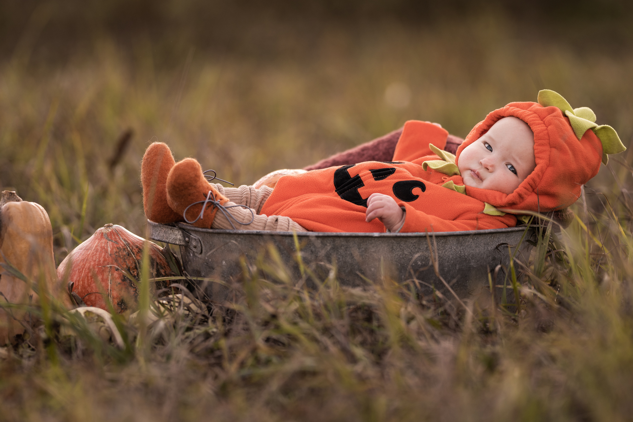 Halloween 2022. Семейный фотограф Ефремова Виктория
