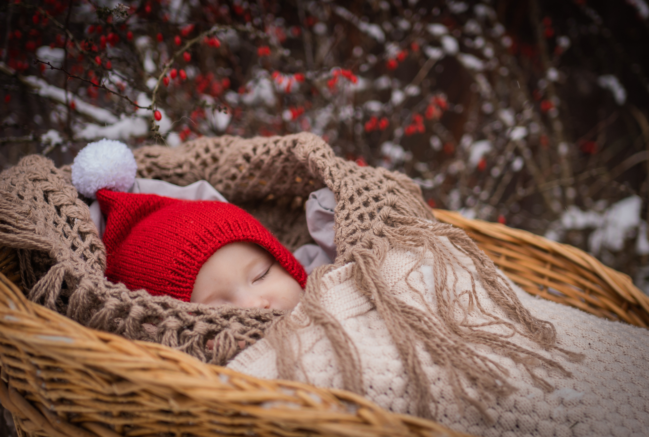 Снежная прогулка Савелия и Марфы. Семейный фотограф Ефремова Виктория