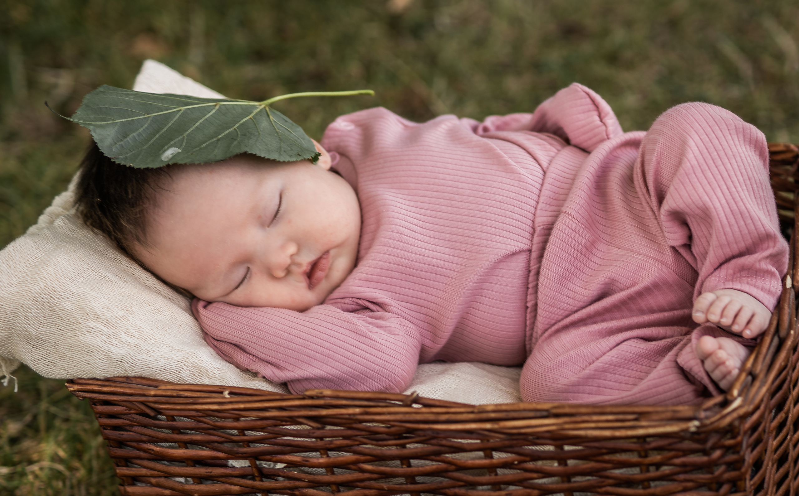 Малышатник). Семейный фотограф Ефремова Виктория
