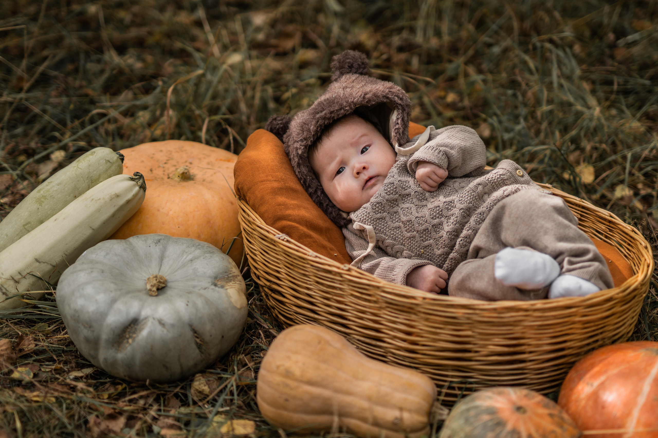 Овощная история. Семейный фотограф Ефремова Виктория