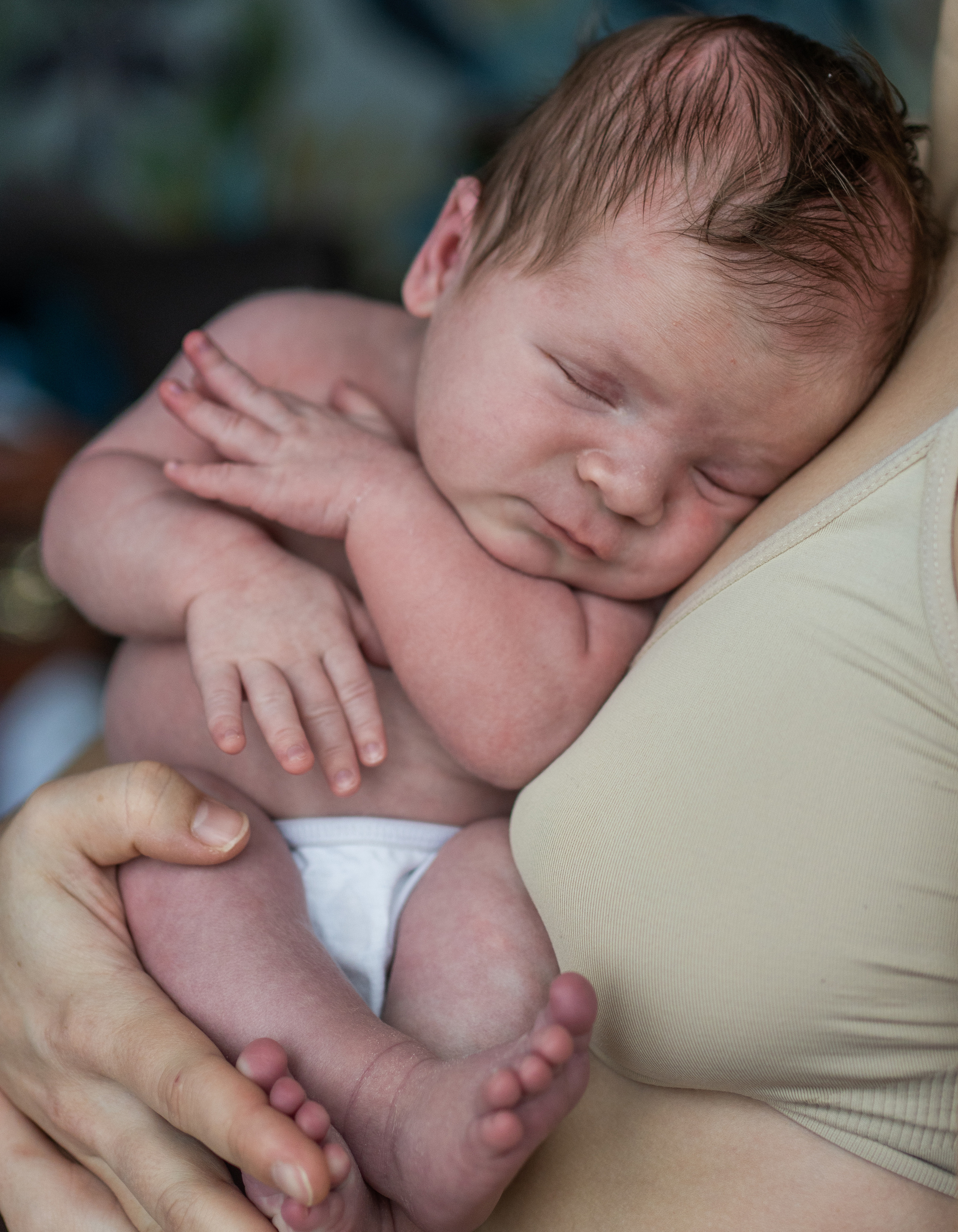 Лёва. Семейный фотограф Ефремова Виктория