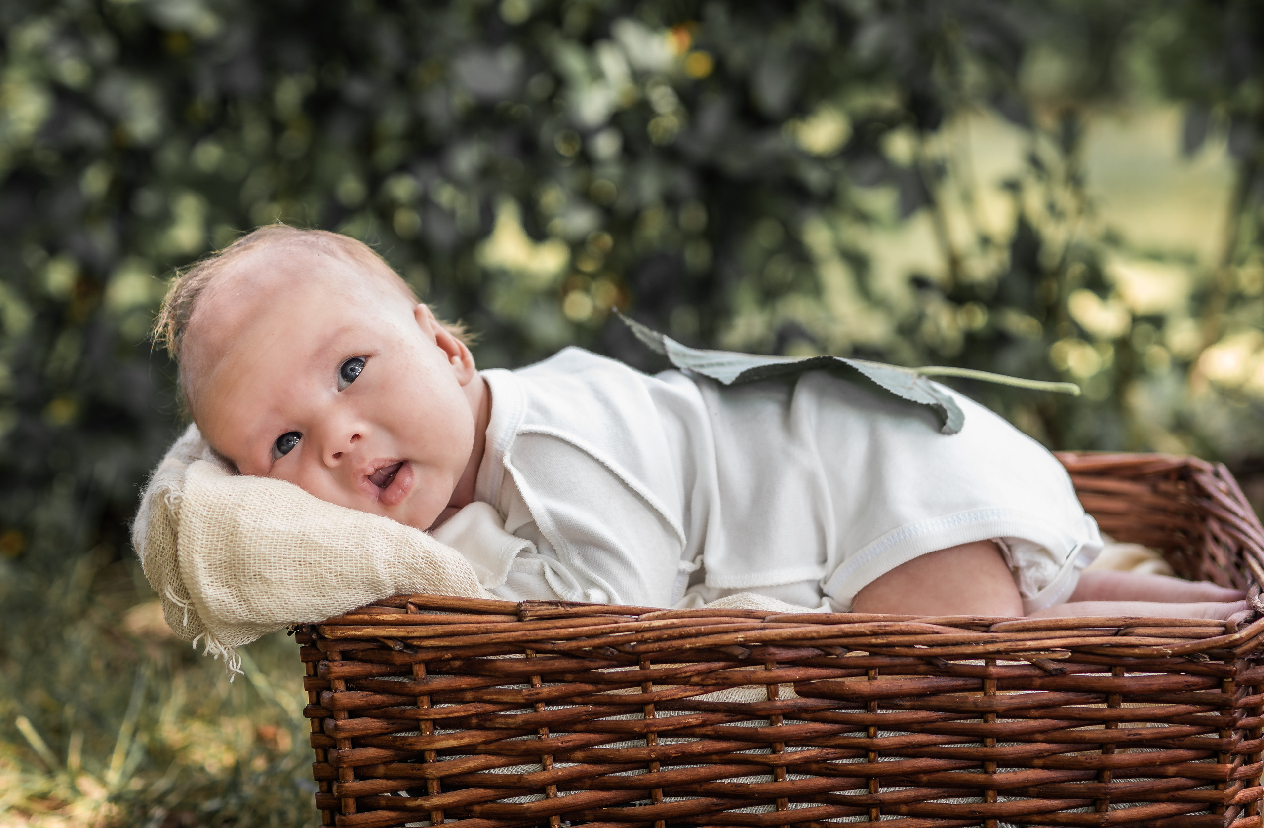 Малышатник). Семейный фотограф Ефремова Виктория