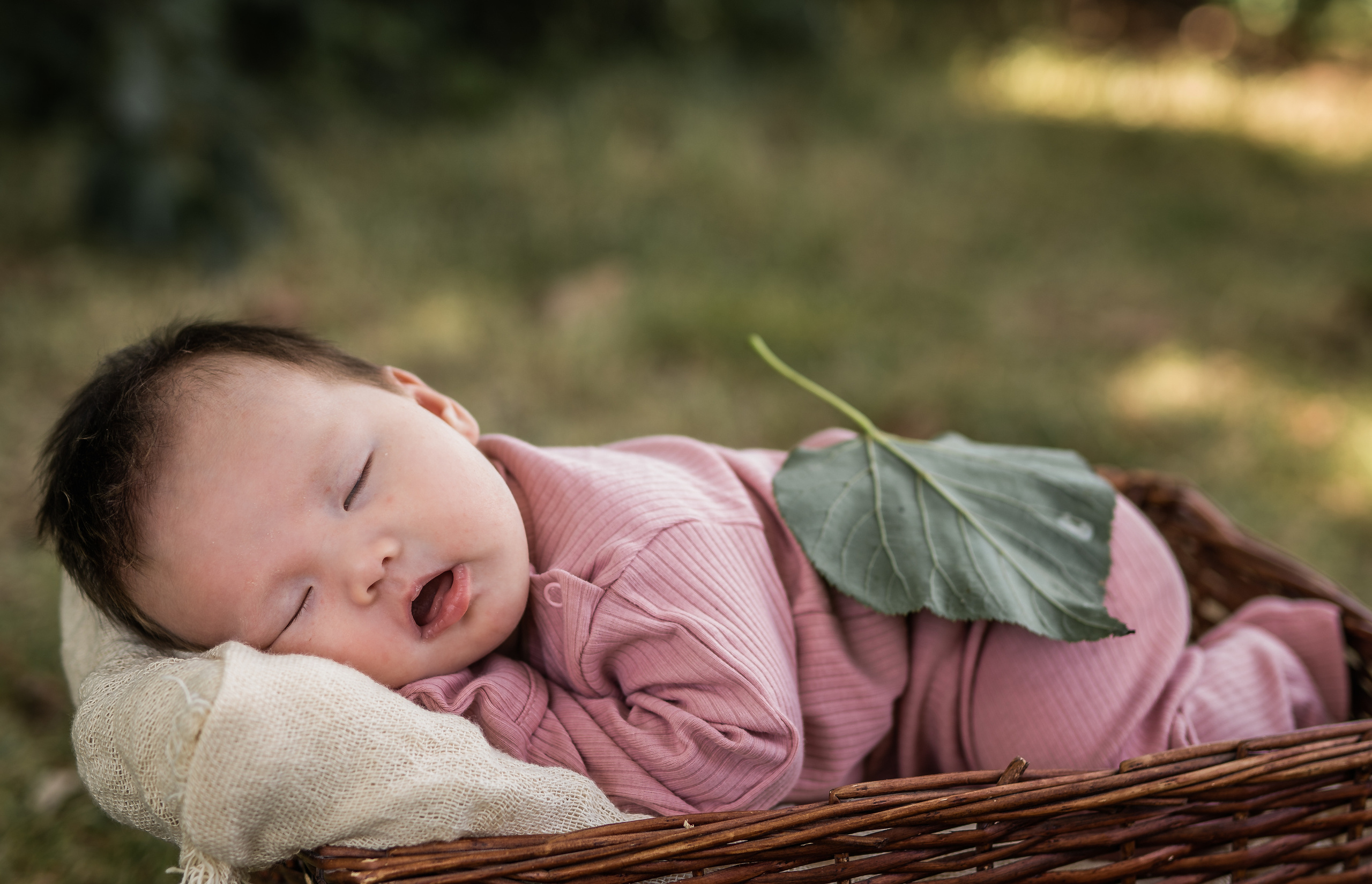 Малышатник). Семейный фотограф Ефремова Виктория