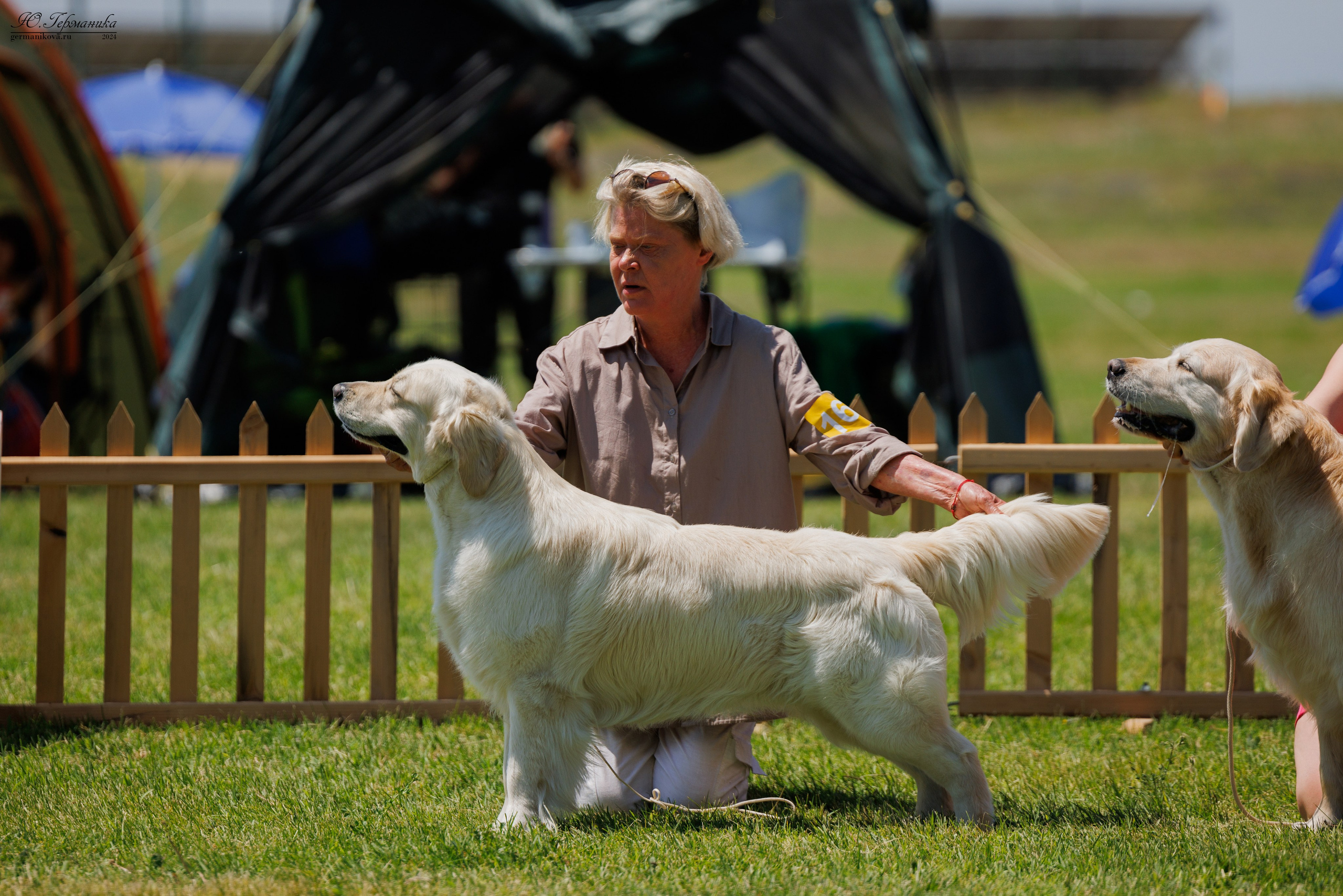 Ереван 3-5.06.2024. Фотограф-анималист Юлия Германика