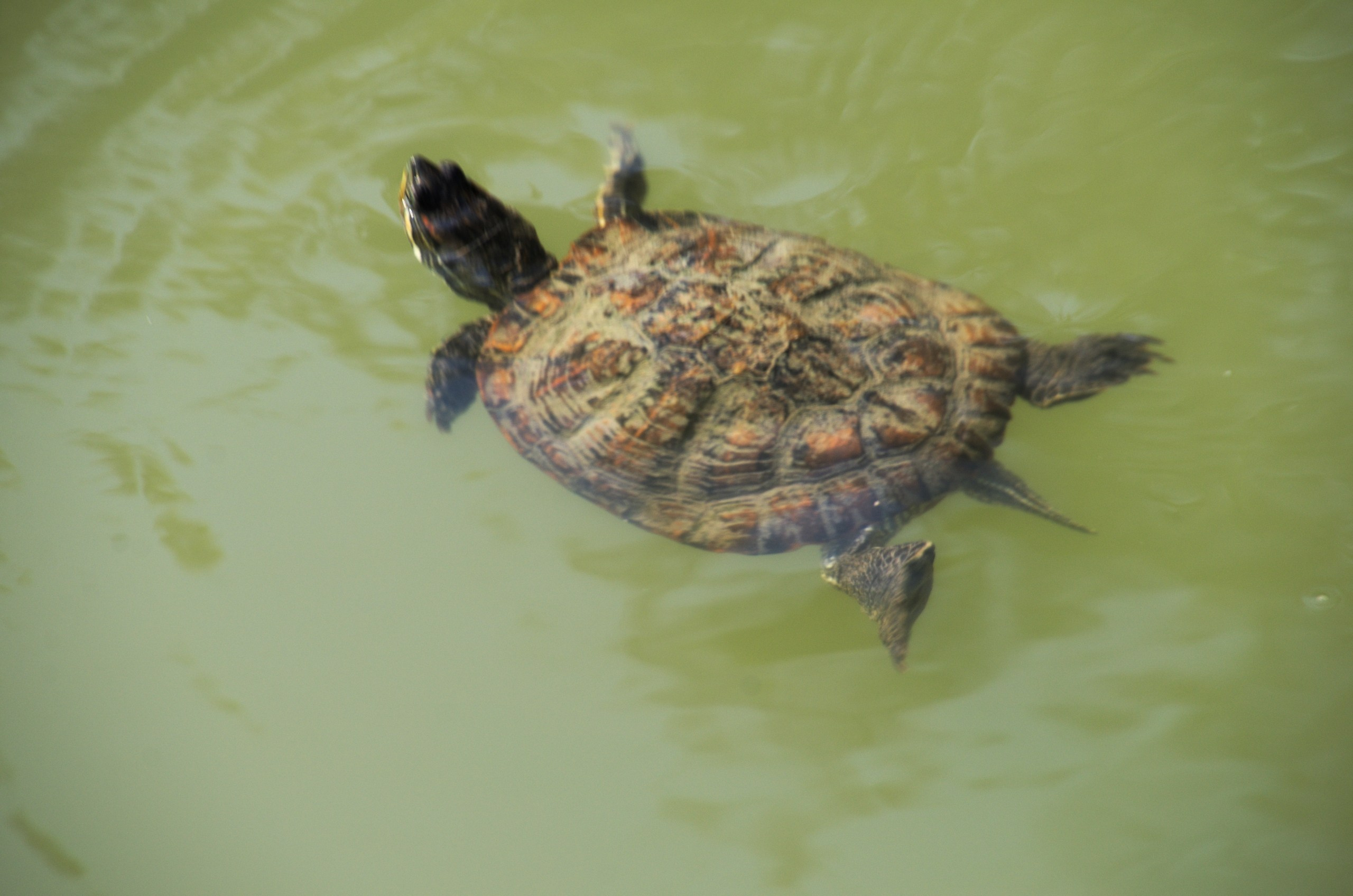 Сочи | 05-06.10.2019. Галерея Фантим