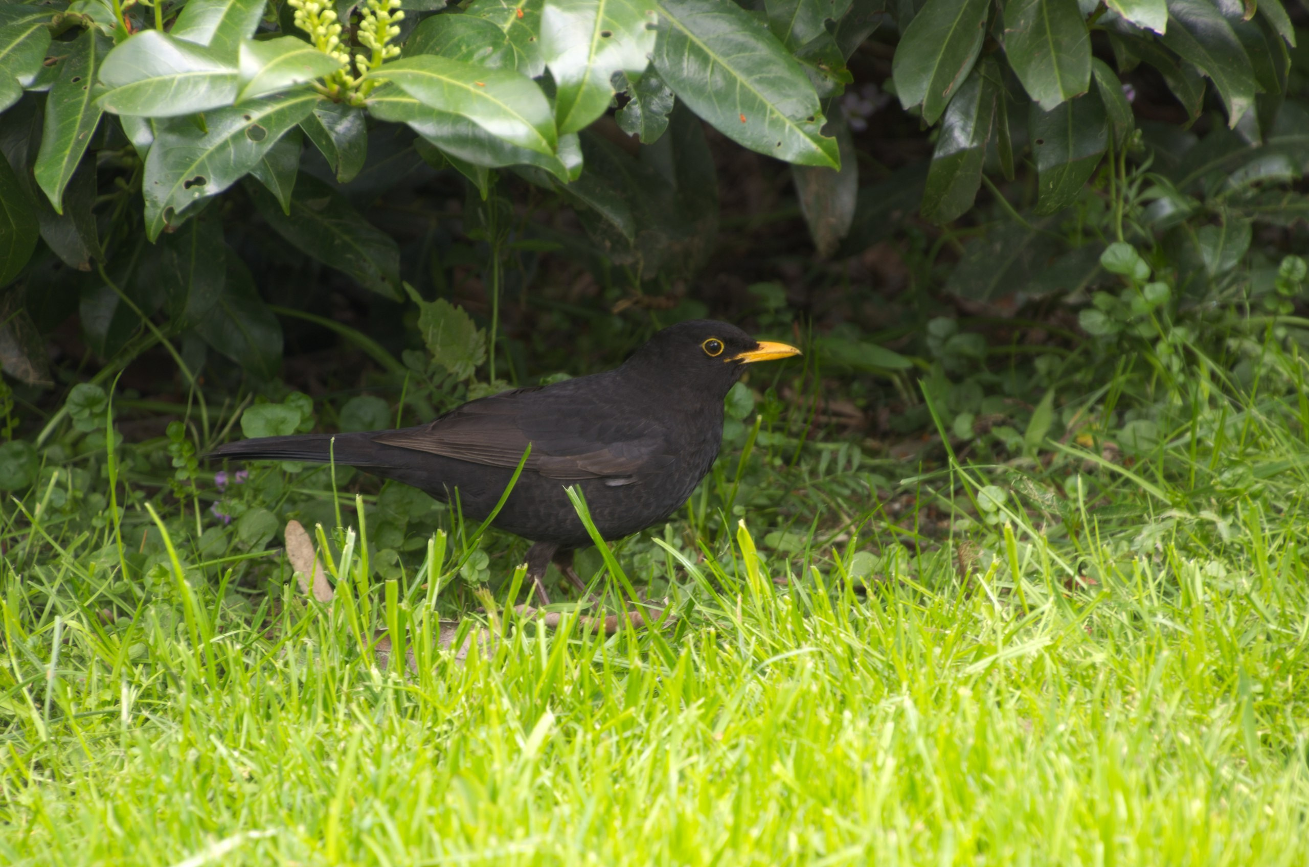 Чехия | 06-09.05.2017. Галерея Фантим