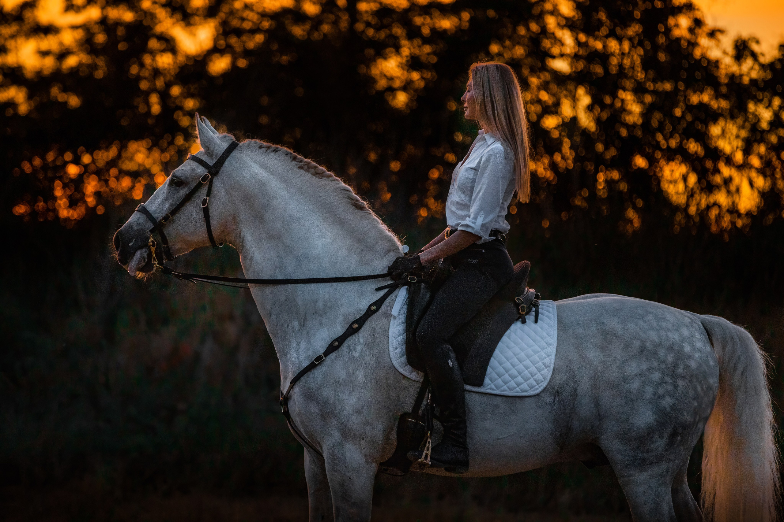 Натали и Цезарь. Фотограф-анималист Ксендзова Кристина
