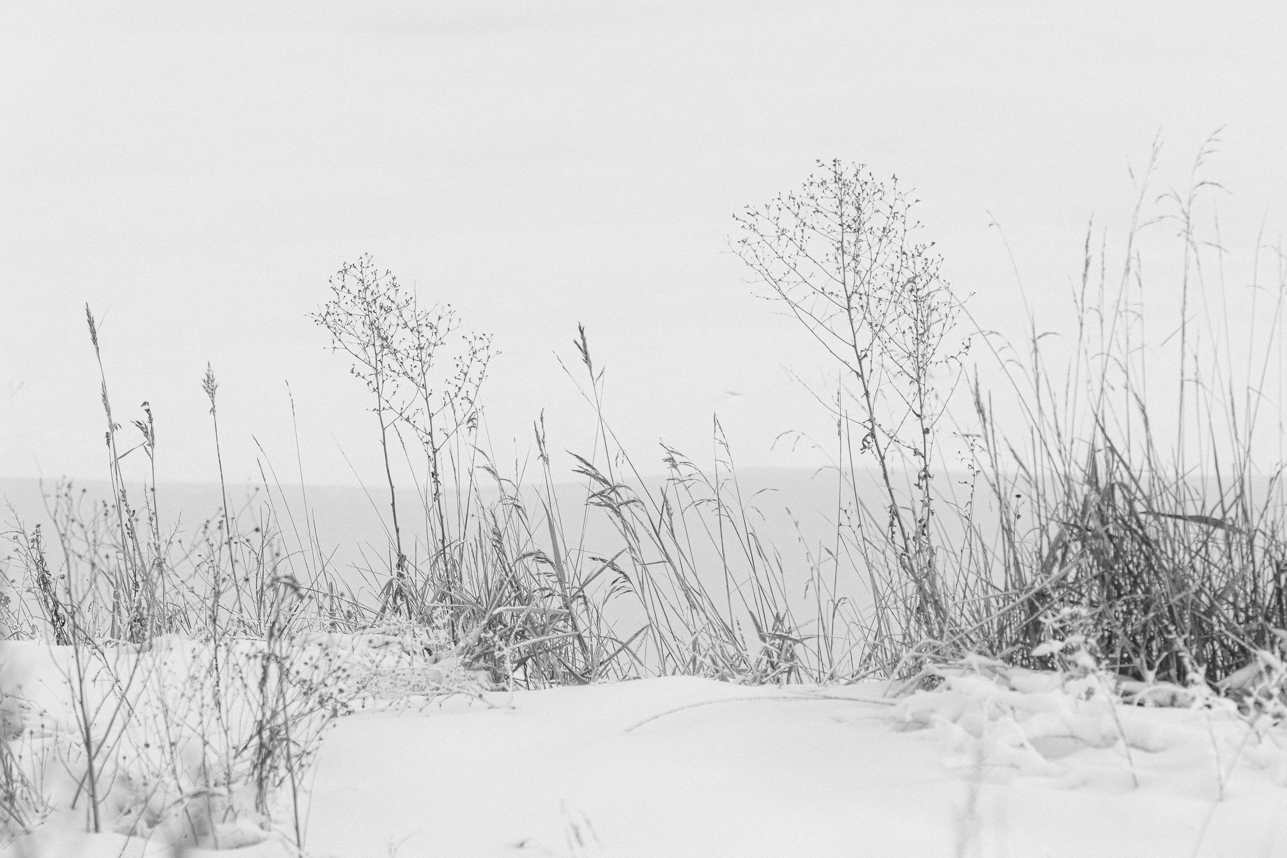 Ч.б. фотографии. Фотографии Лены Соколовой