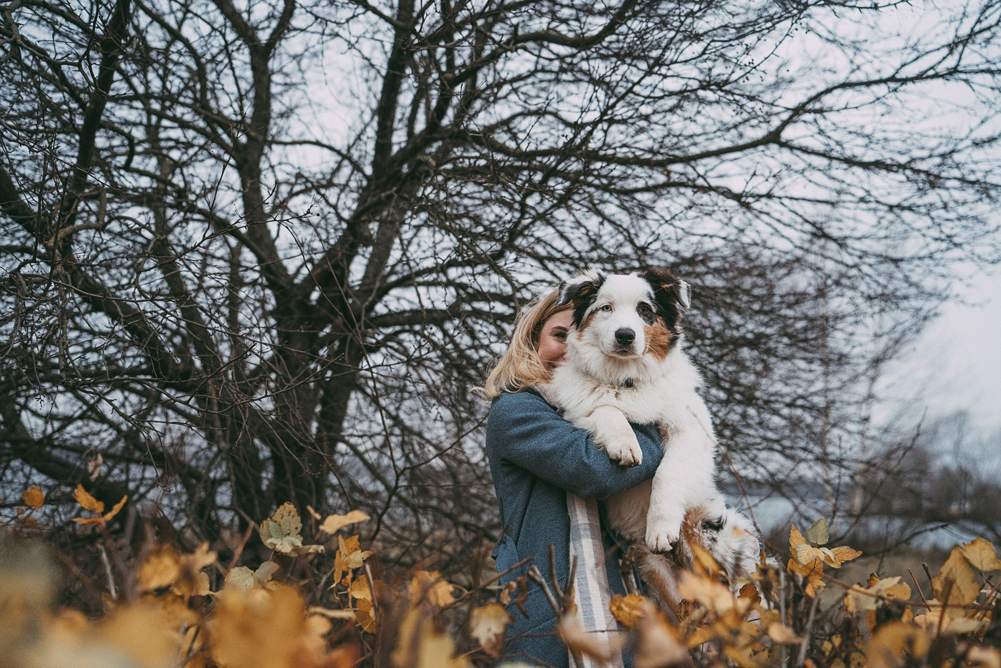 Лиза и Бублик. Фотограф анималист в Москве и Санкт-Петербурге Свиридова Анна