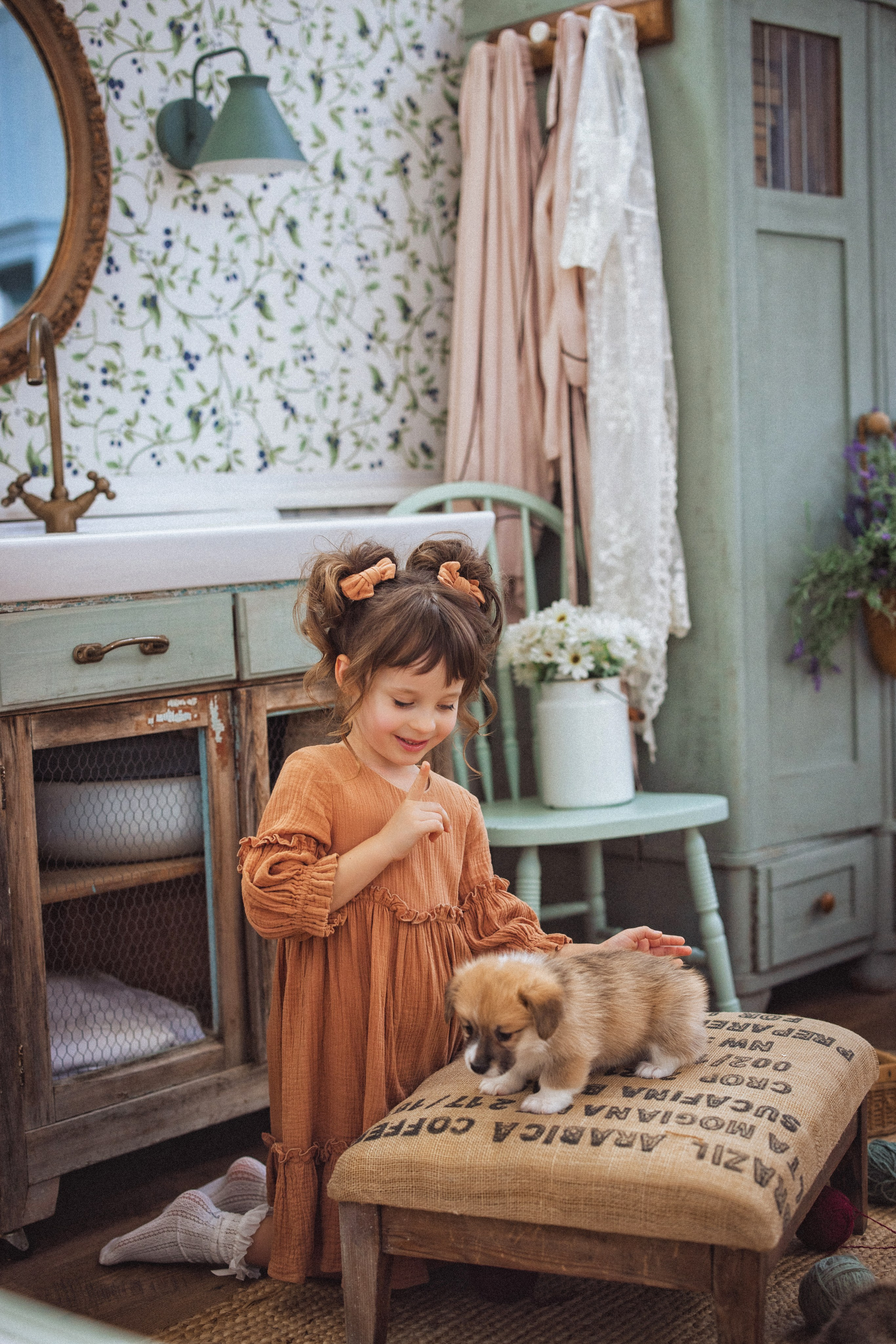 Фотосессия с щенками Корги, в фотостудии Ольги Сурухановой, город Краснодар. Семейный и детский фотограф в Краснодаре Анна Трашкова