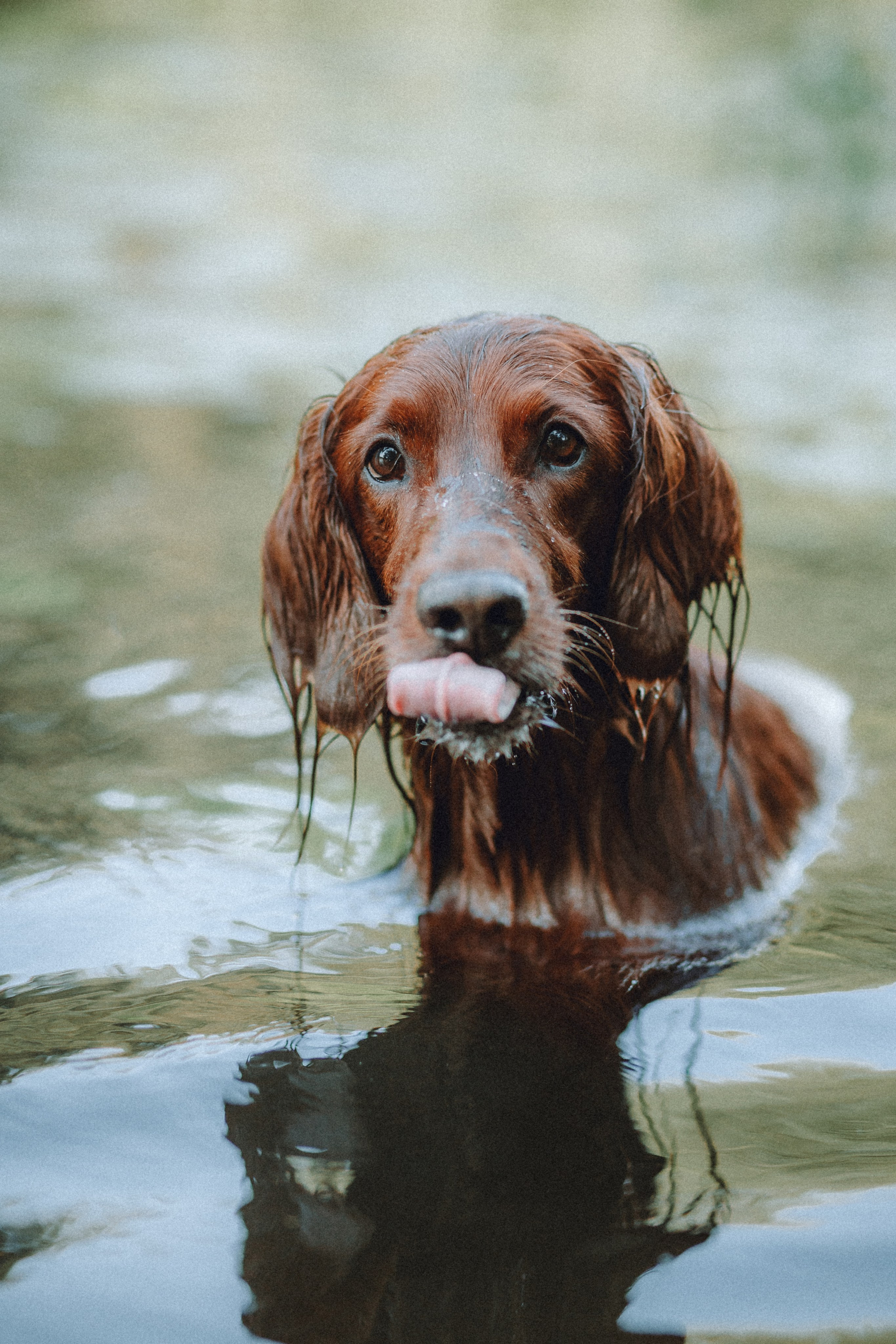 Маша и Джерри