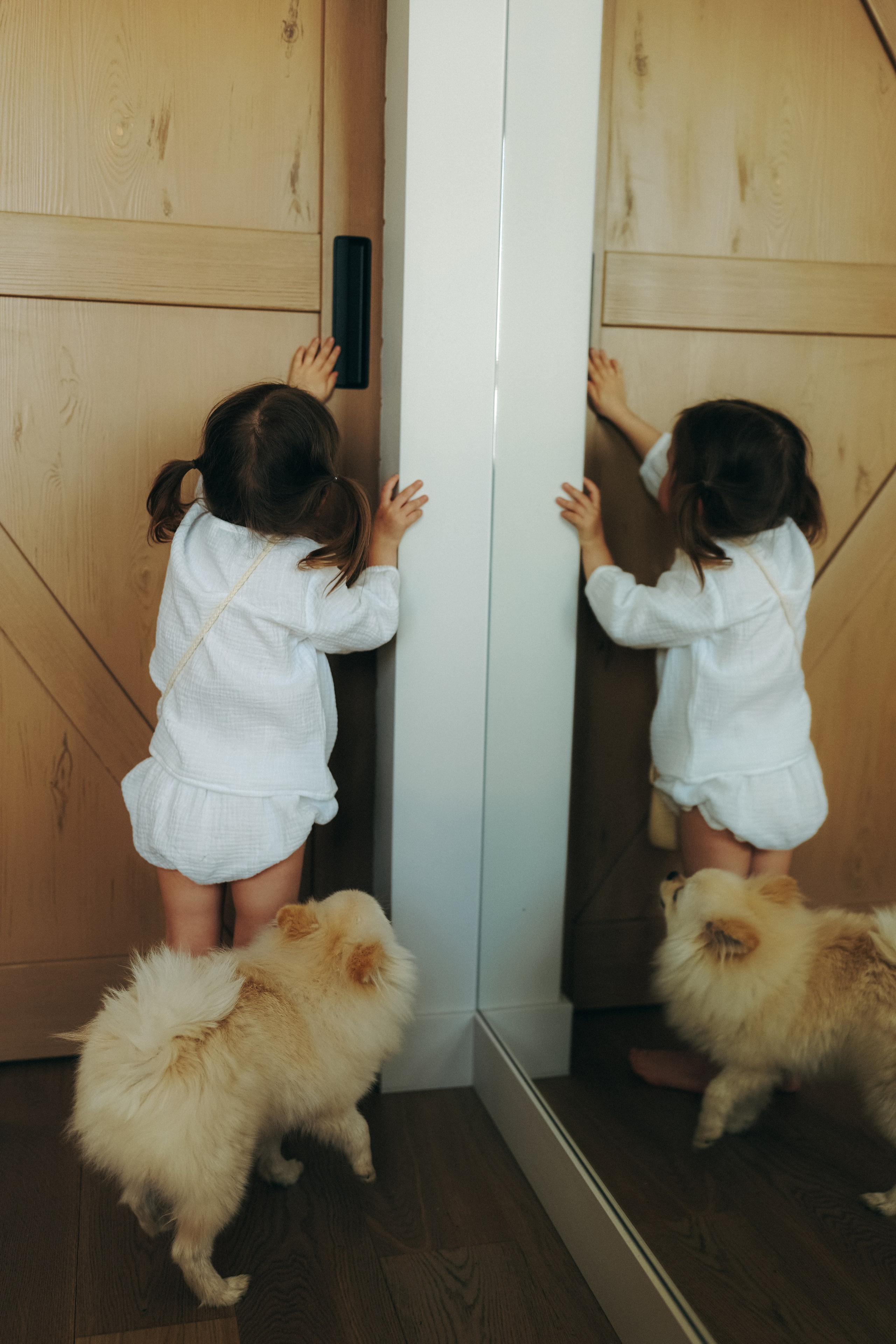 Василёк и летние платья. Ася Краснова