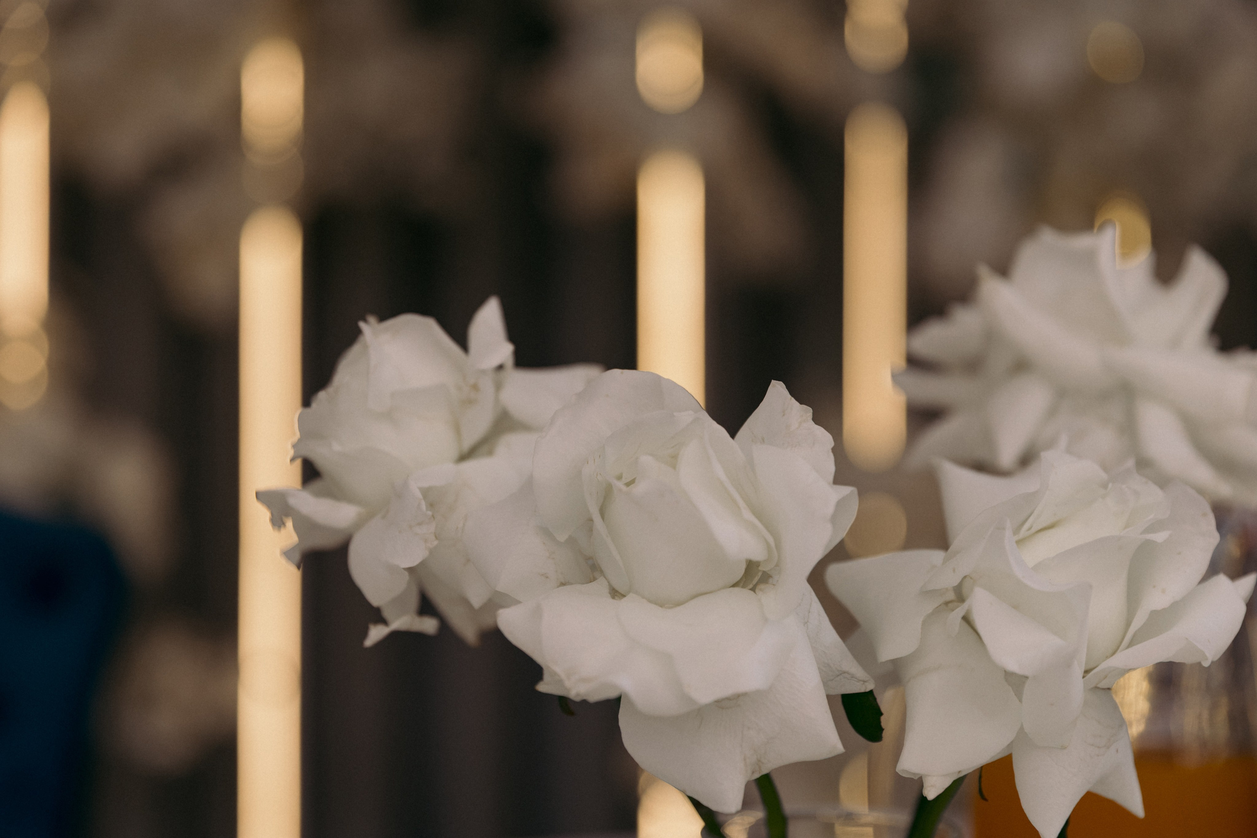 Степан и Яна 5/04/2025. Свадебный  и семейный фотограф в Краснодаре