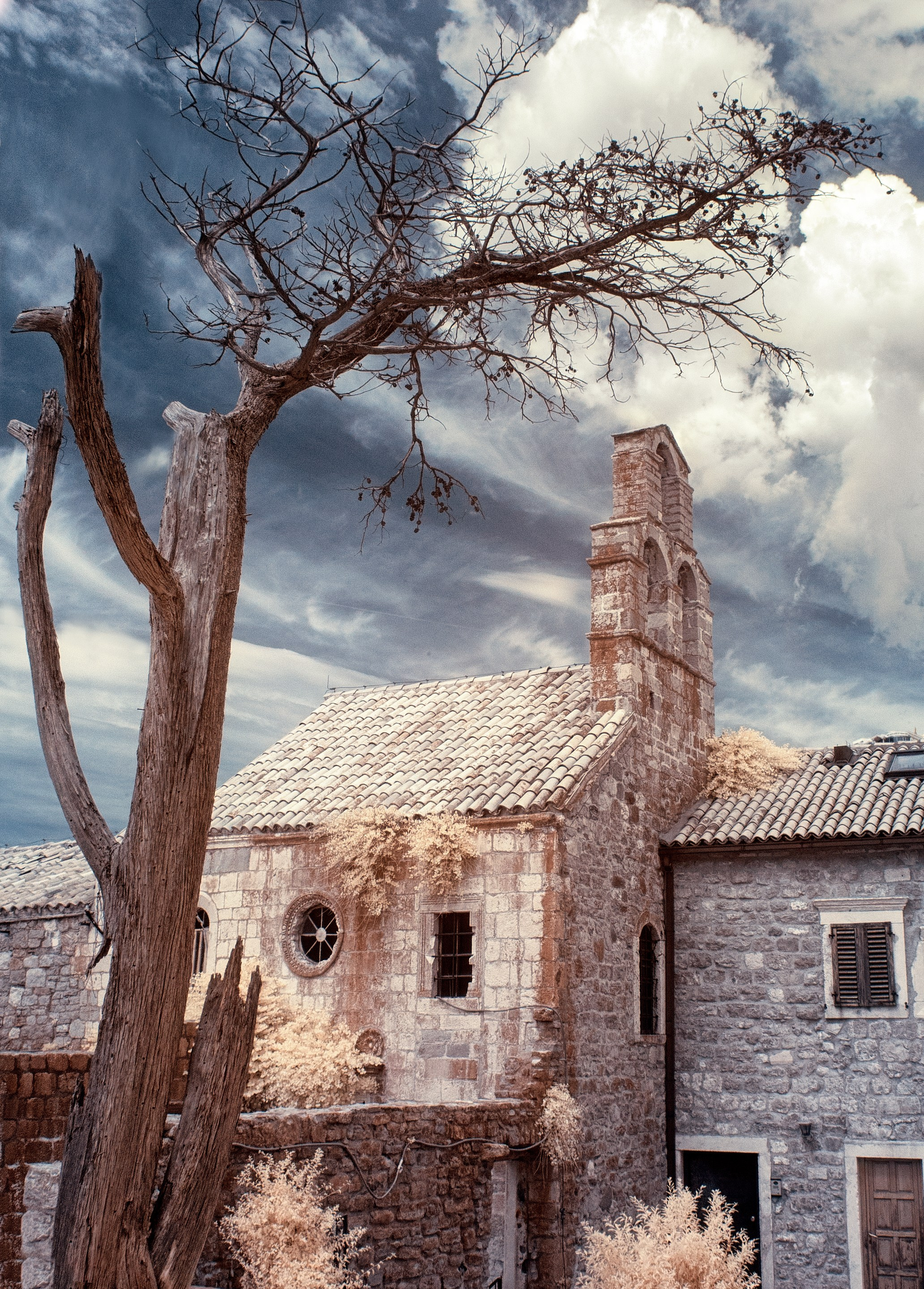 Infrared Photography. Solofilms