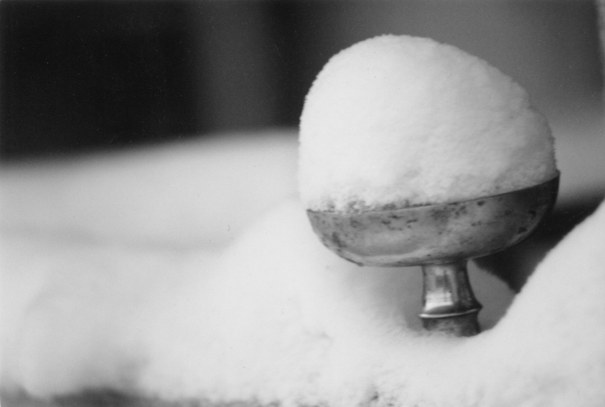 Art Series. Елена Цихон художник фотографии и мастер фото-ДНК