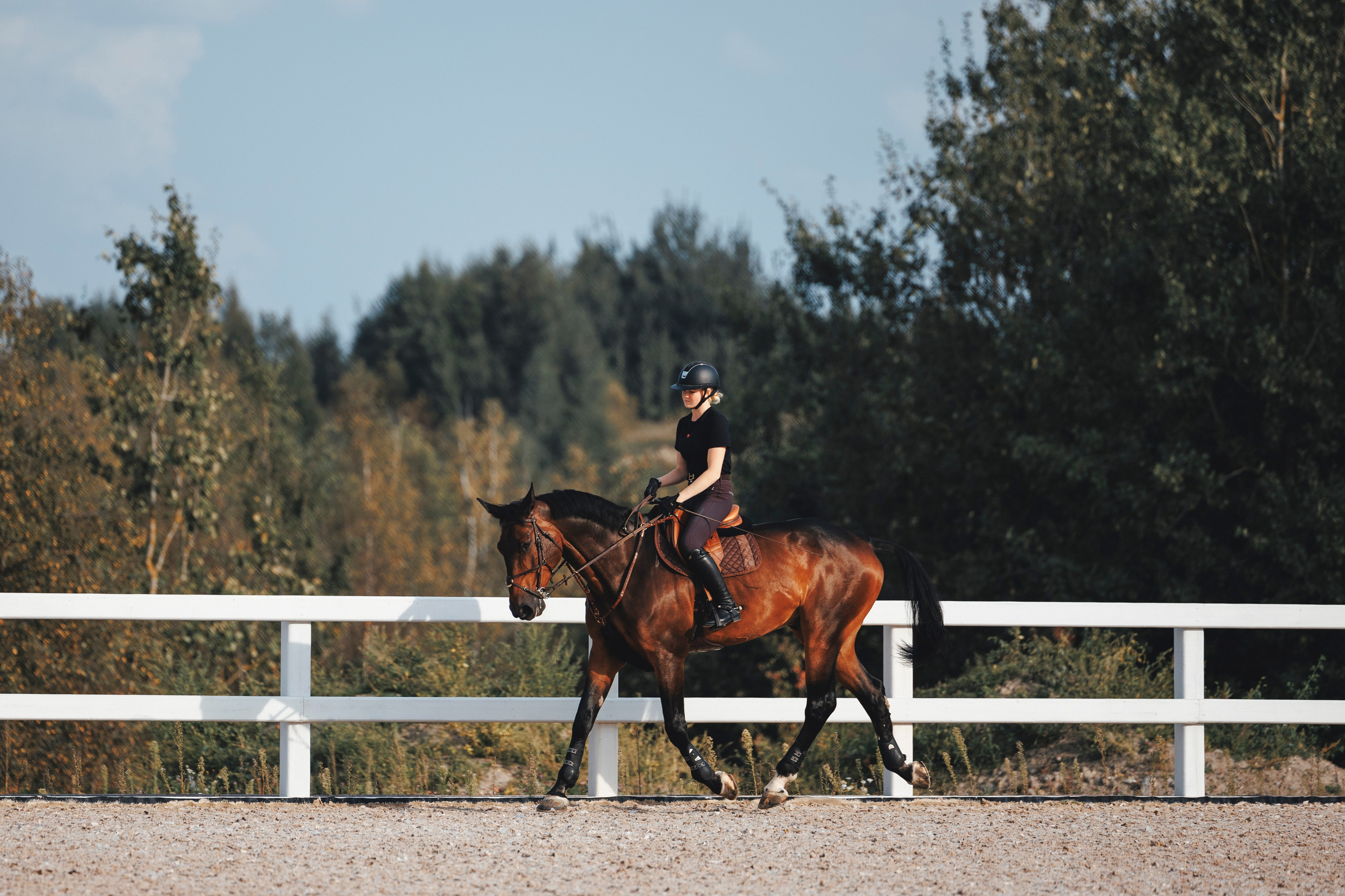 Конкур. Фотограф-анималист Анна Маринич