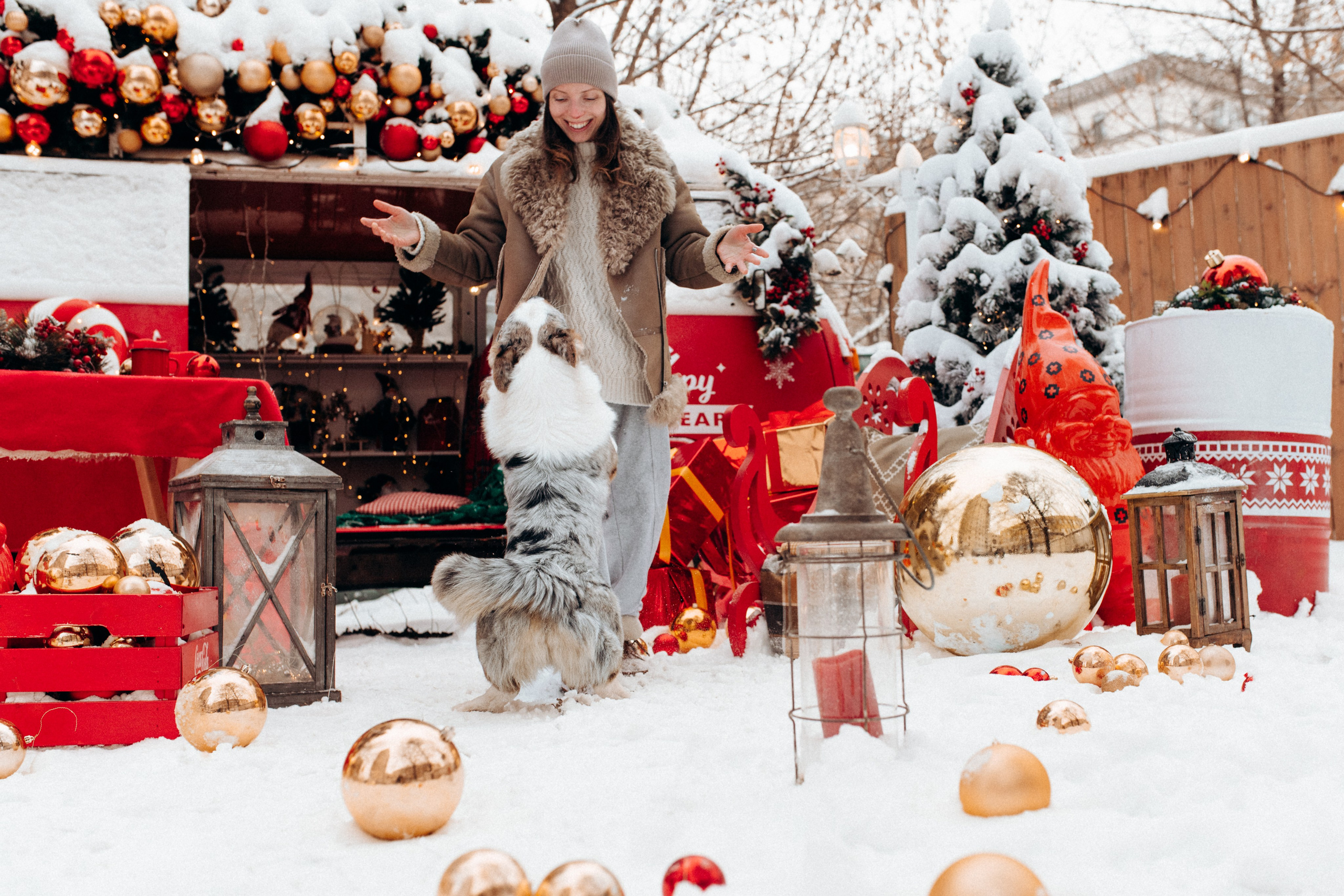 Маша и Дэф. Фотограф анималист в Москве Ольга Агушева