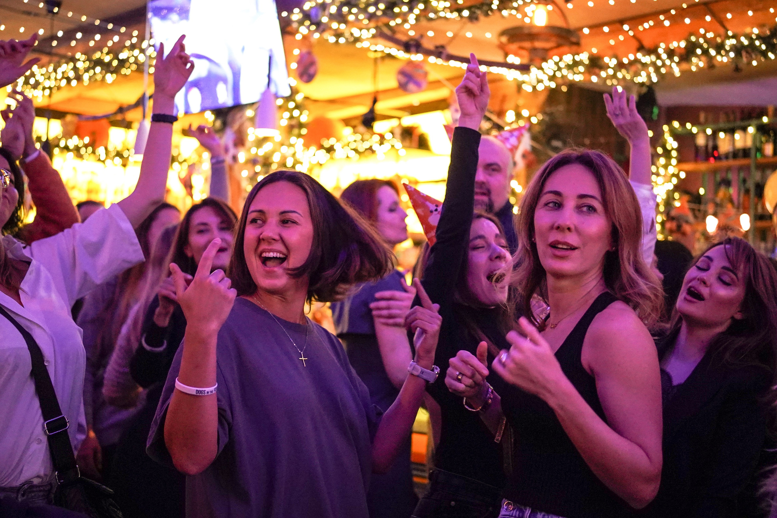 Бар Собаки в тумане. Фотограф