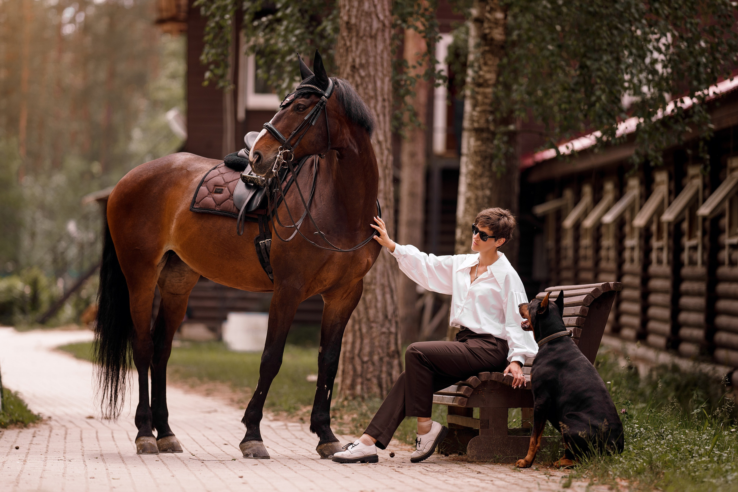 Фотосессии с лошадьми. Фотограф Артемьева Катерина|фотосессии с лошадьми
