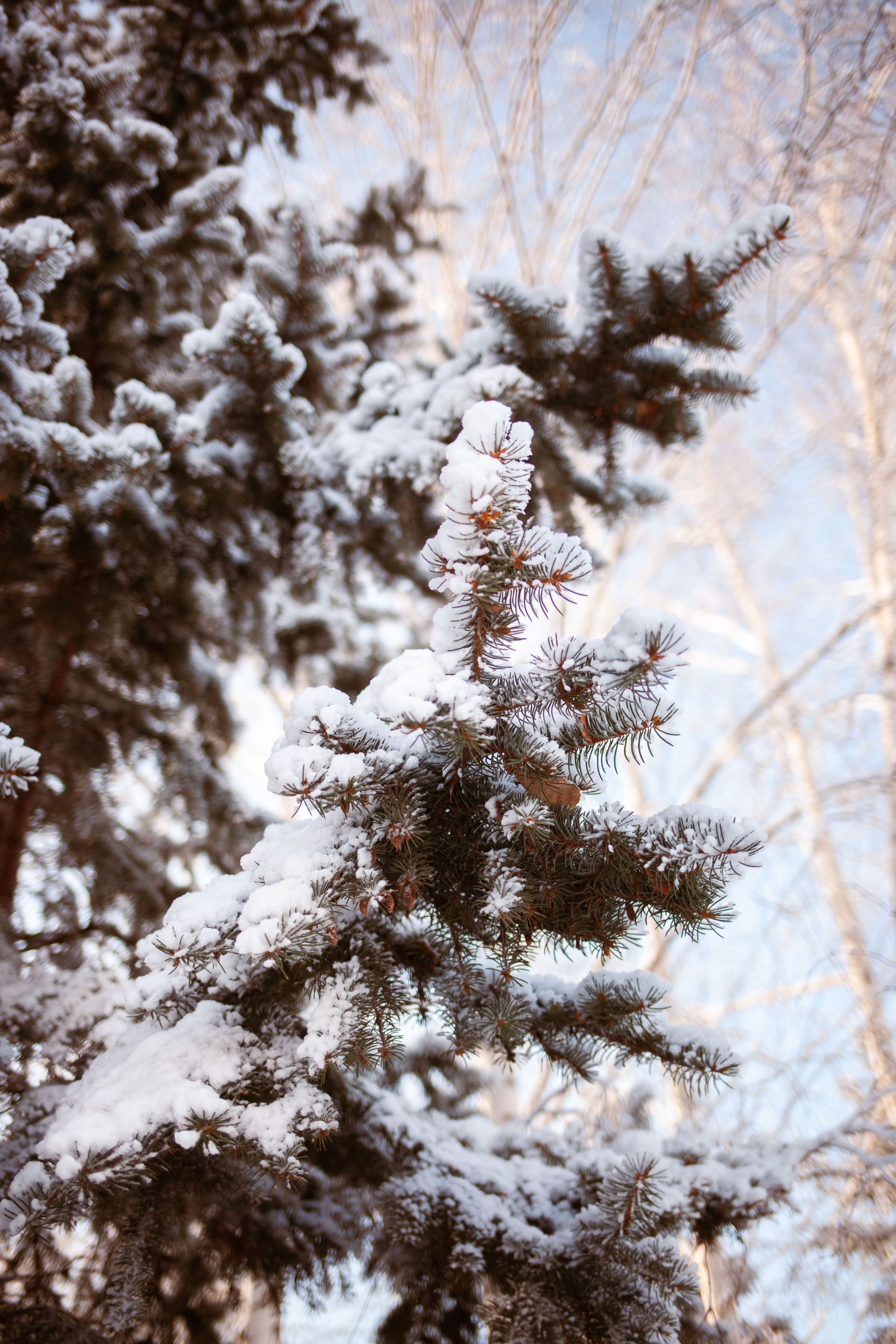 Фотосъемка природы, города, улиц. Инна Карцева Свадебный фотограф Тольятти