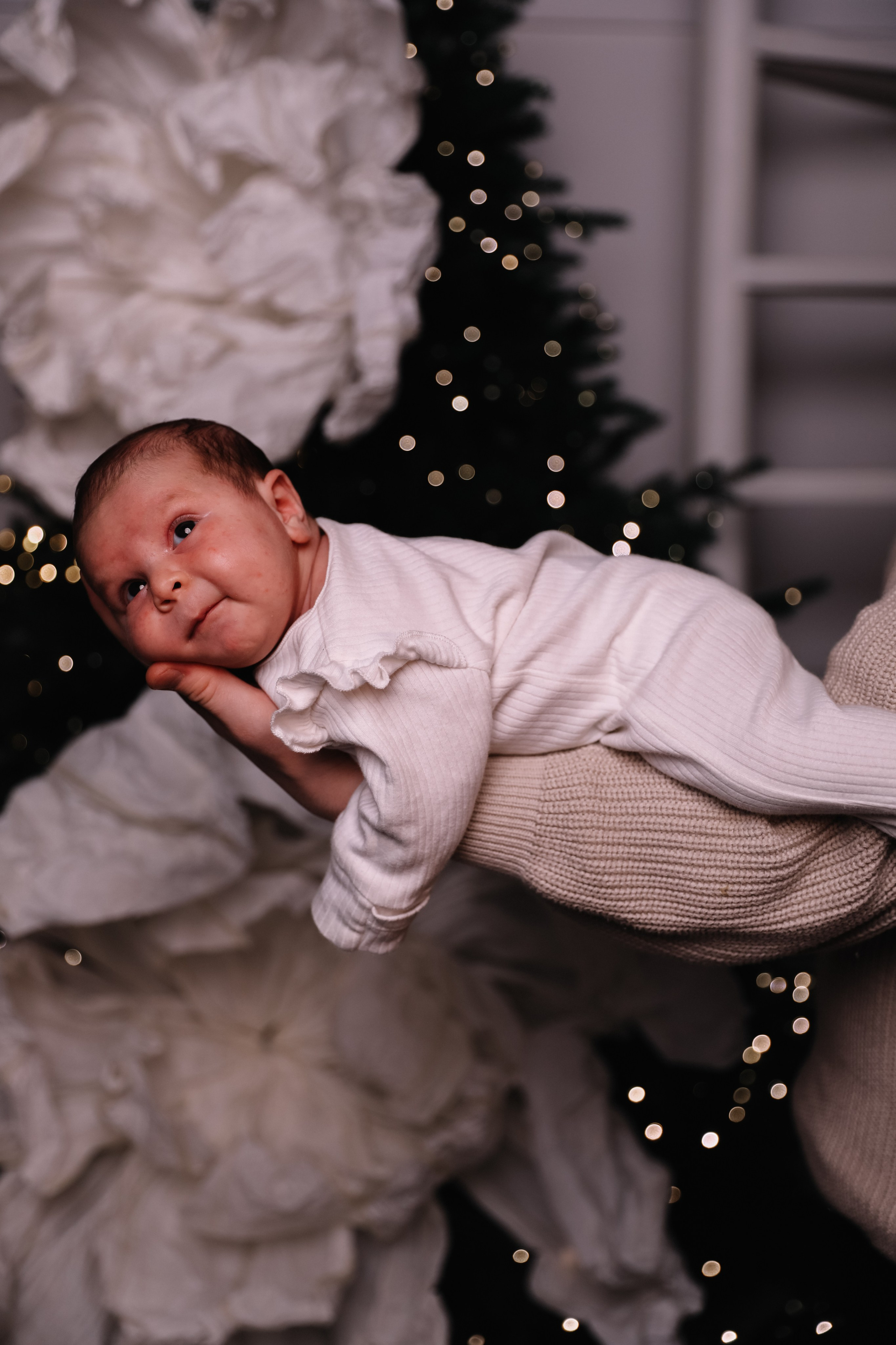 Верх ногами. Свадебный и семейный фотограф в городе Пенза, Саранск, Ковылкино