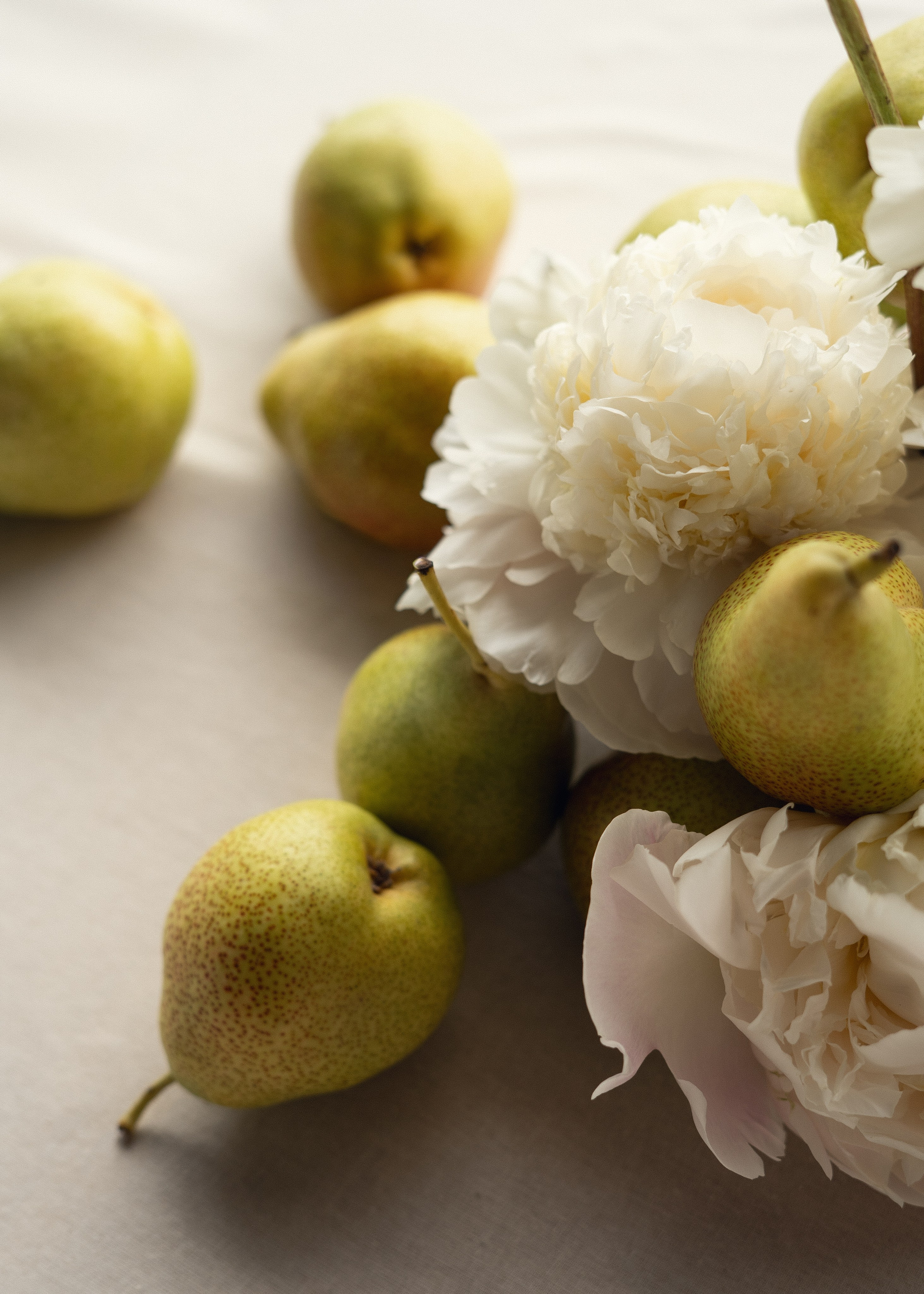 МОМЕНТОВ МОРЕ. Фотограф Злата Смирнова