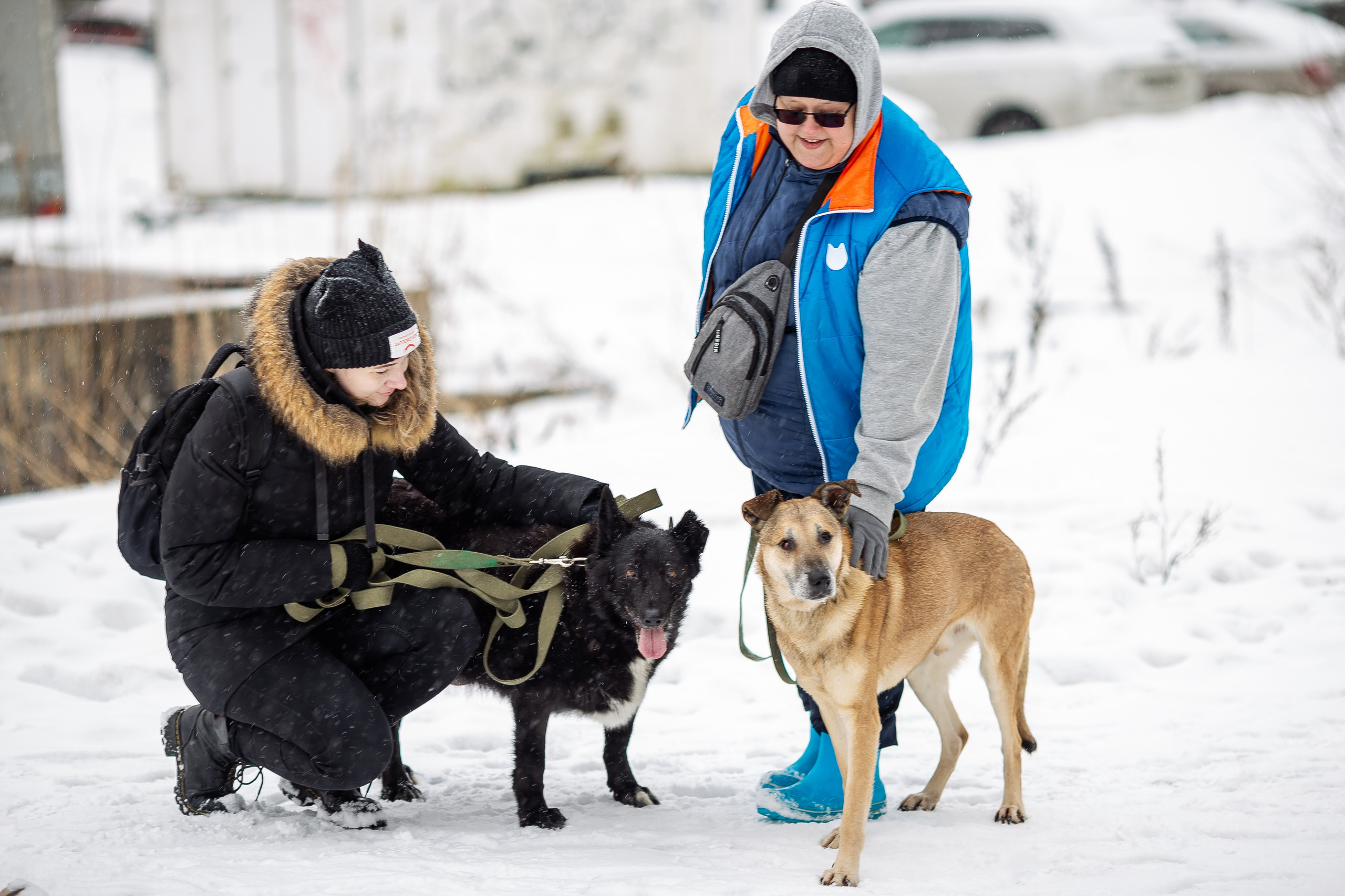 Petshop Забота. Фотограф в Санкт-Петербурге Чумаков Семен