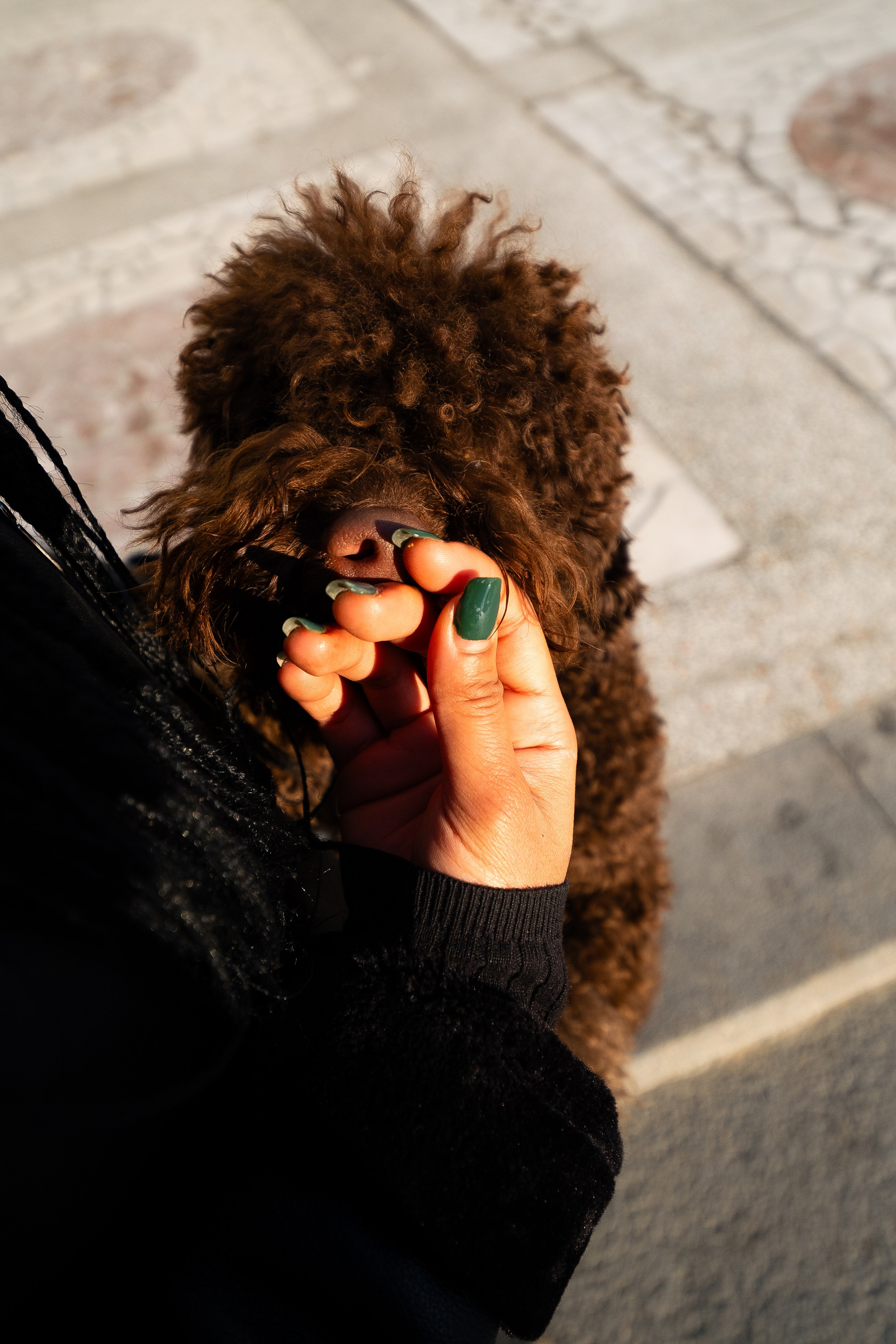 Тьеринна и Миша. Фотограф и видеограф анималист Аганина Дарья