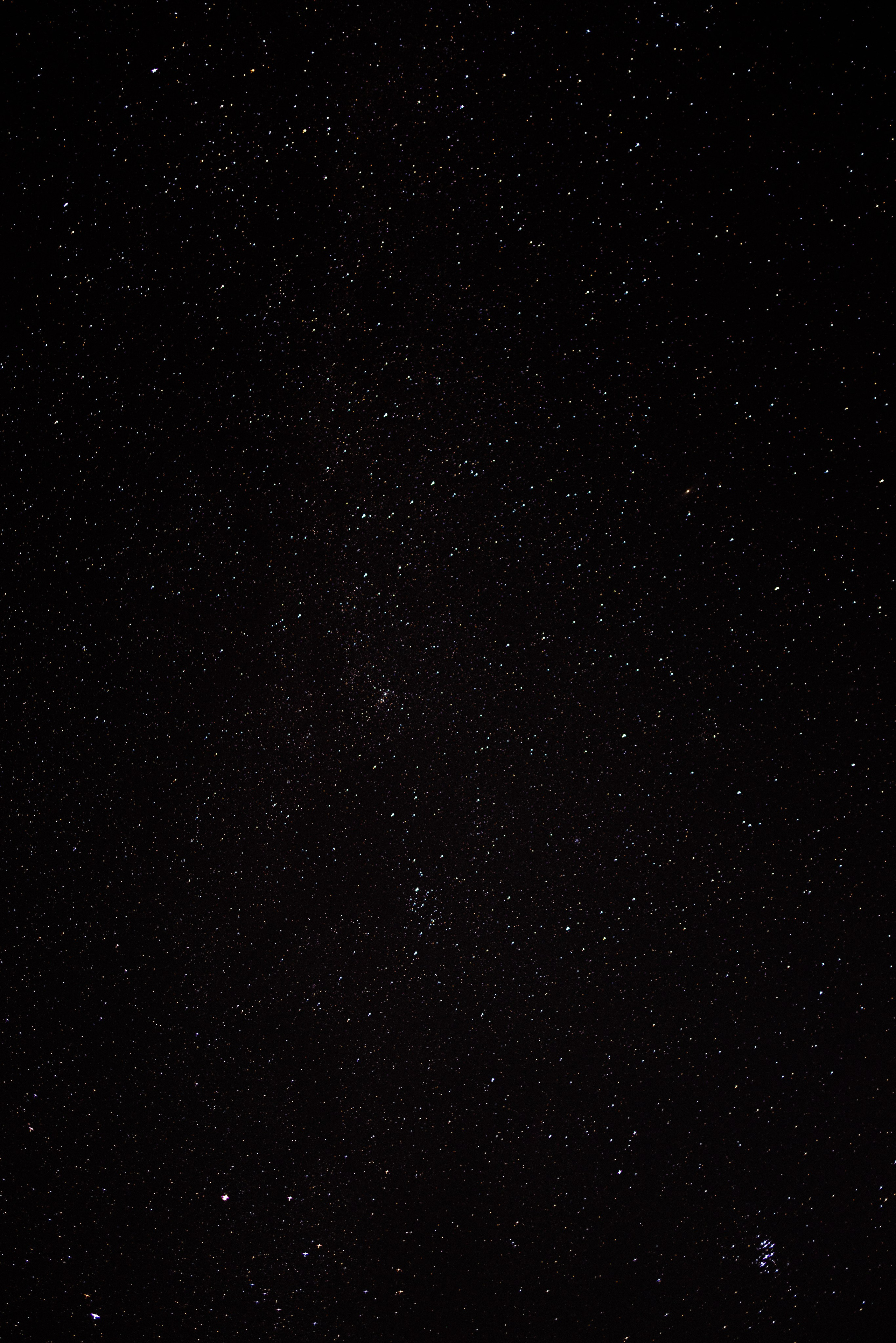 Karelia. Фотограф и видеограф анималист Аганина Дарья