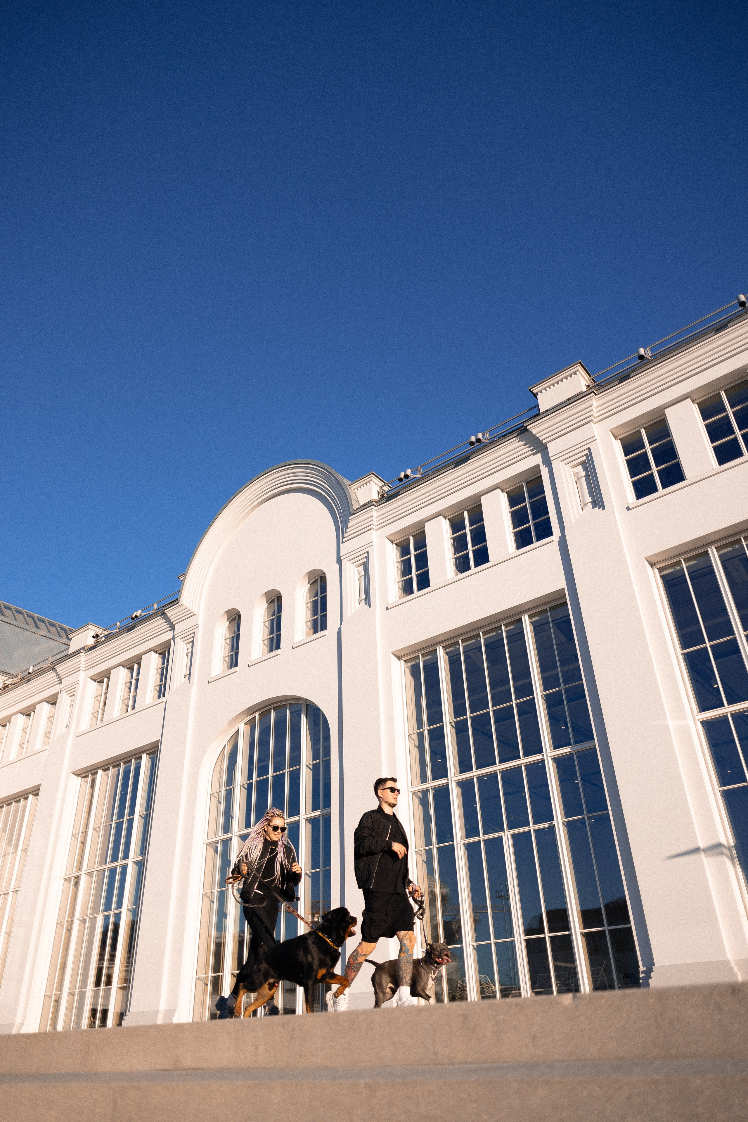 Катя, Леша, Трой и Лея. Фотограф и видеограф анималист Аганина Дарья