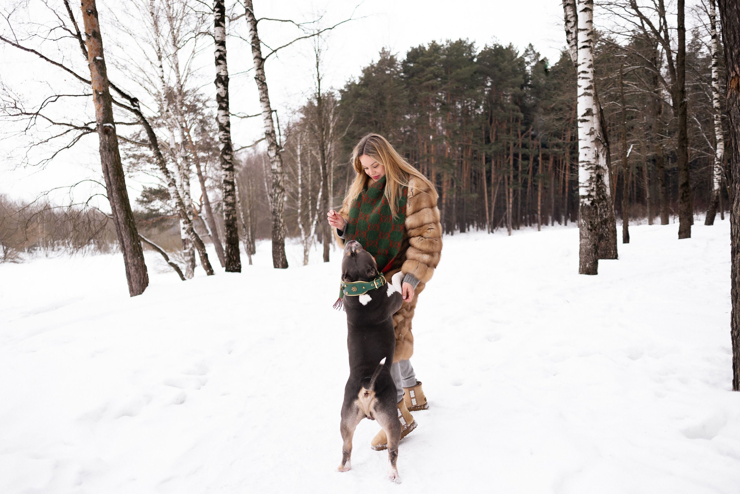 Лера и Наган. Фотограф и видеограф анималист Аганина Дарья