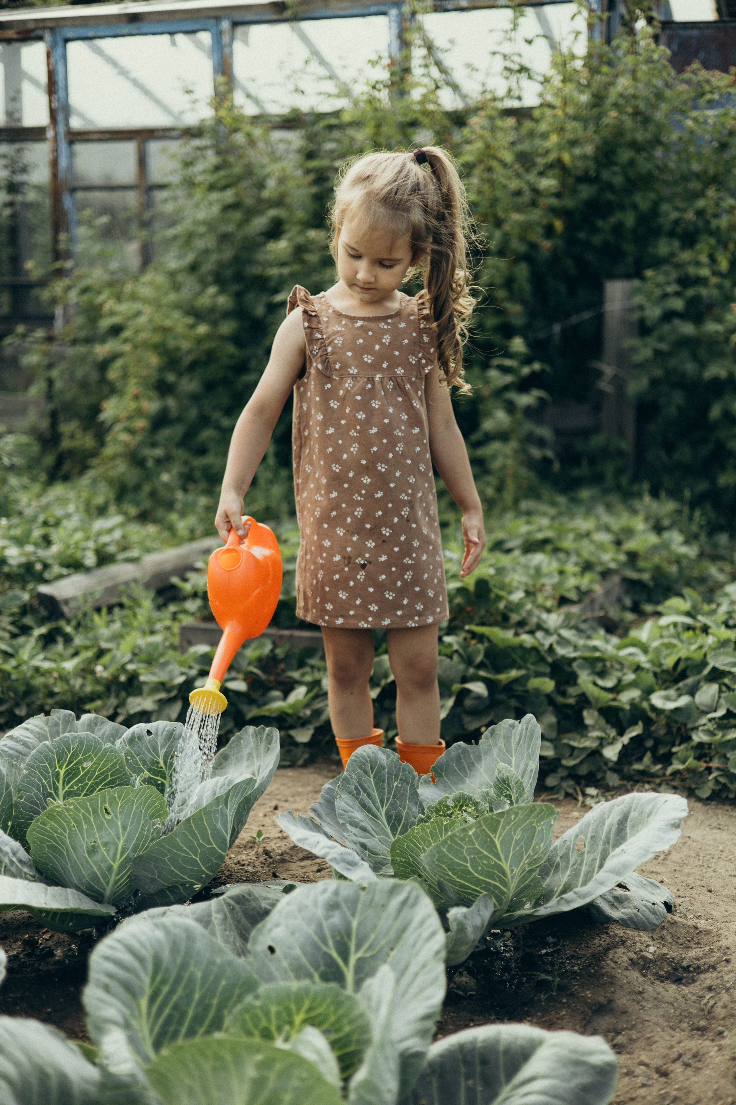 Хорошо в деревне летом…♡. Фотограф в г. Чита