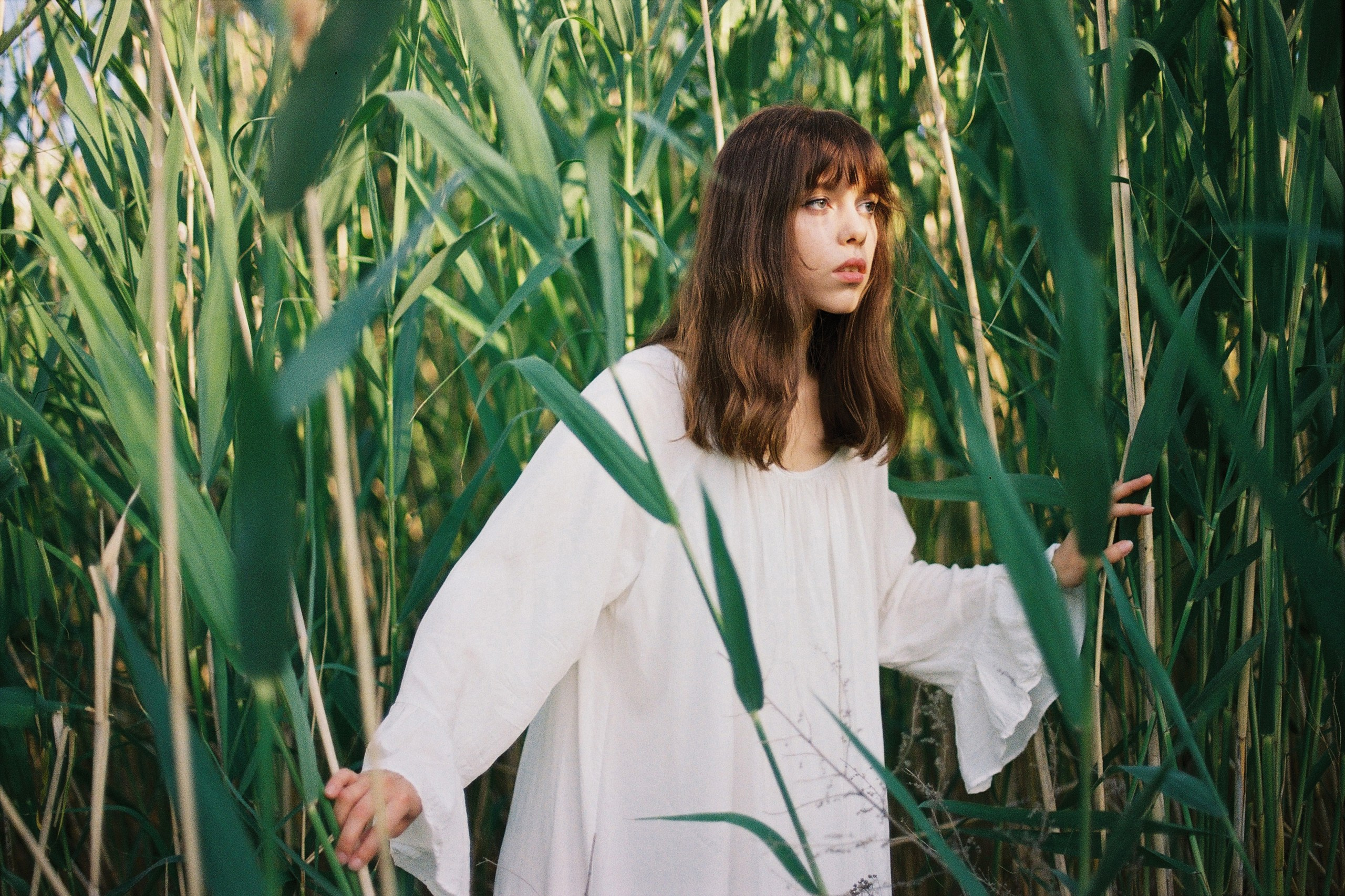 Девушка в белом длинном платье пробирается среди высокой зеленой травы