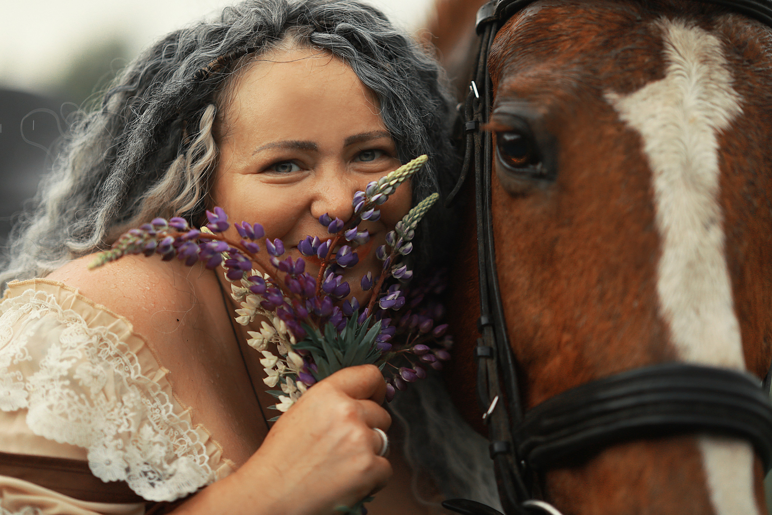 Фотосессии с лошадью. Фотосессия с лошадьми