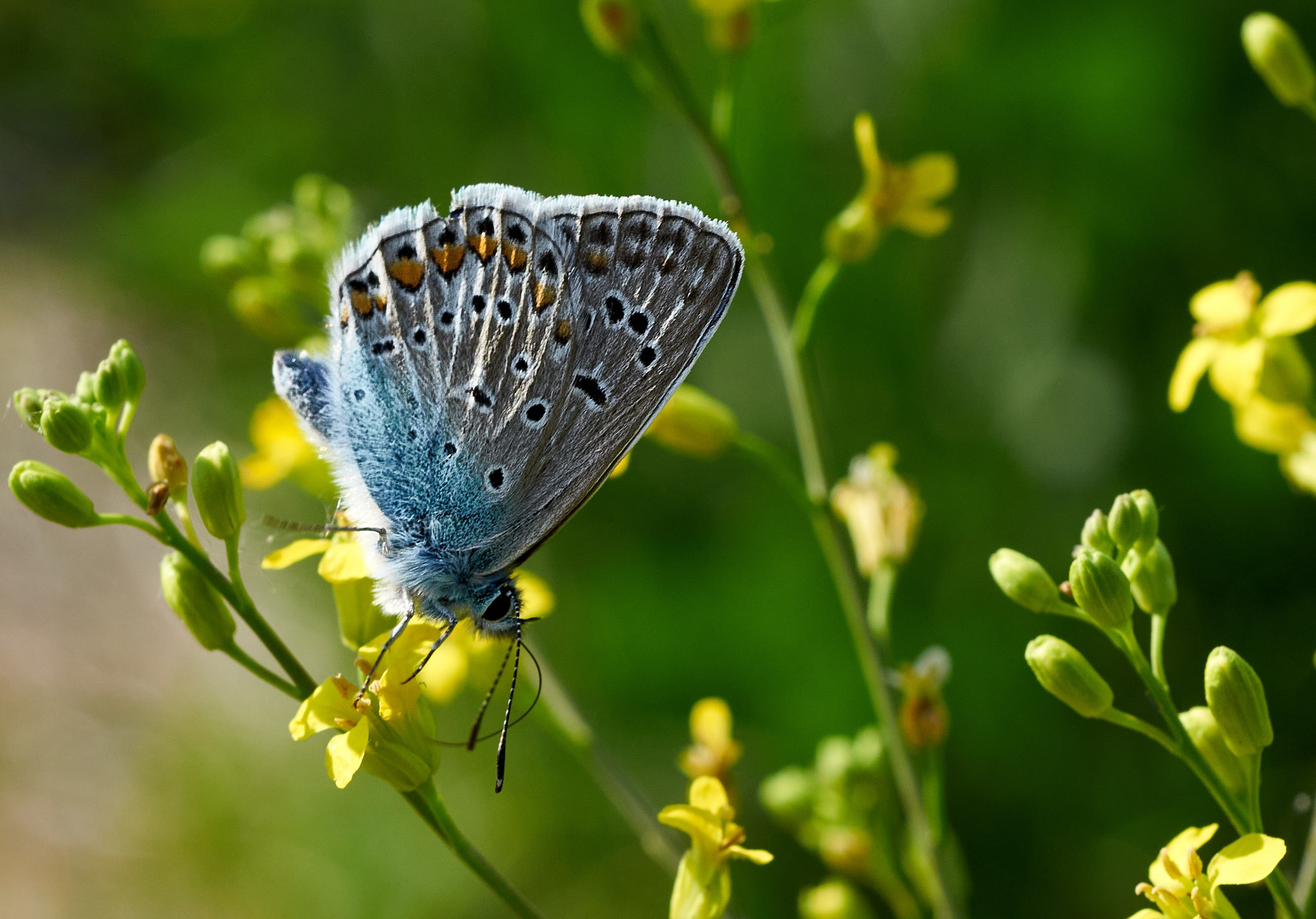 Координаты красоты — география в фокусе