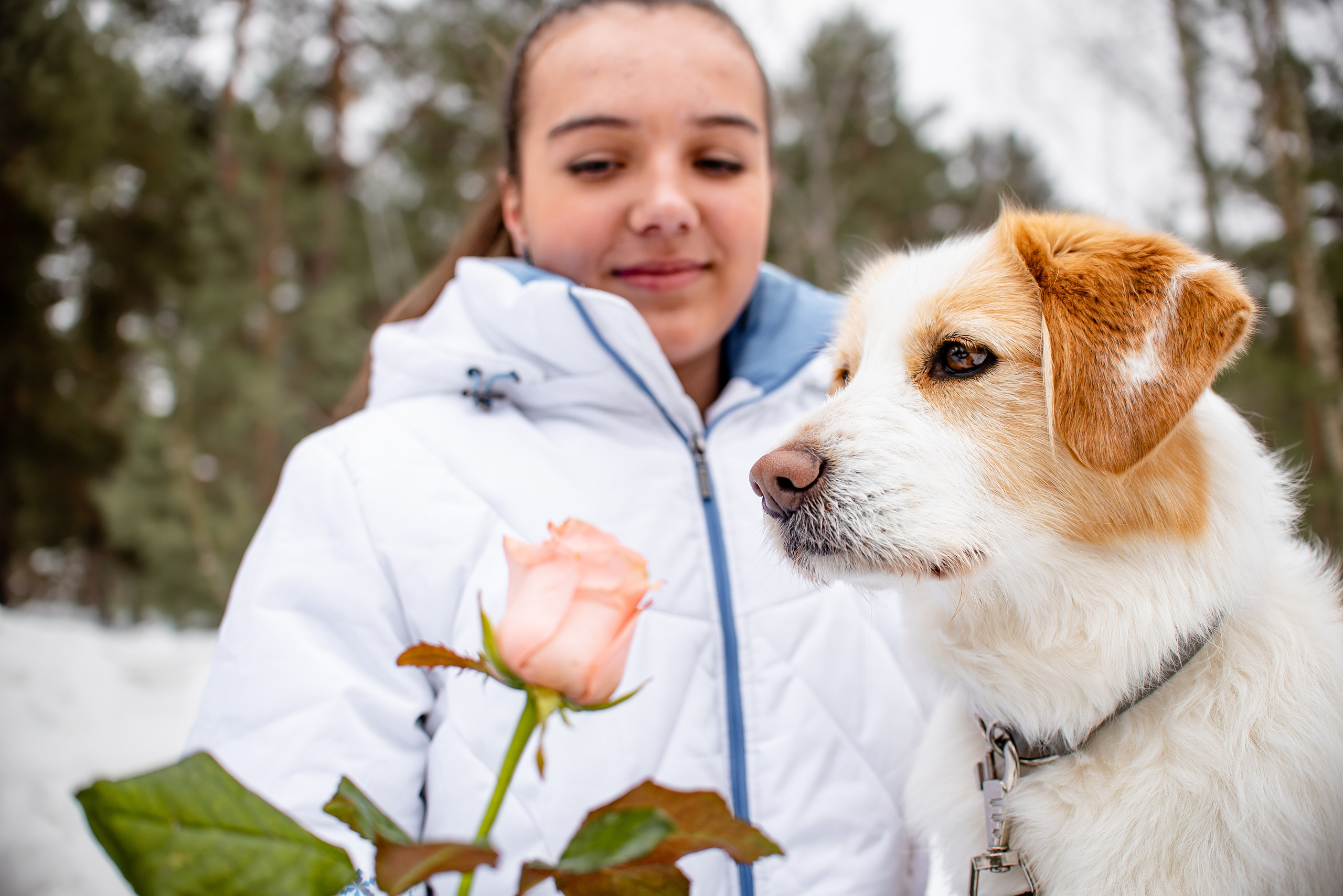 Прогулочная фотосессия с собакой. Фотограф Макс Огурцов в Нижнем Новгороде