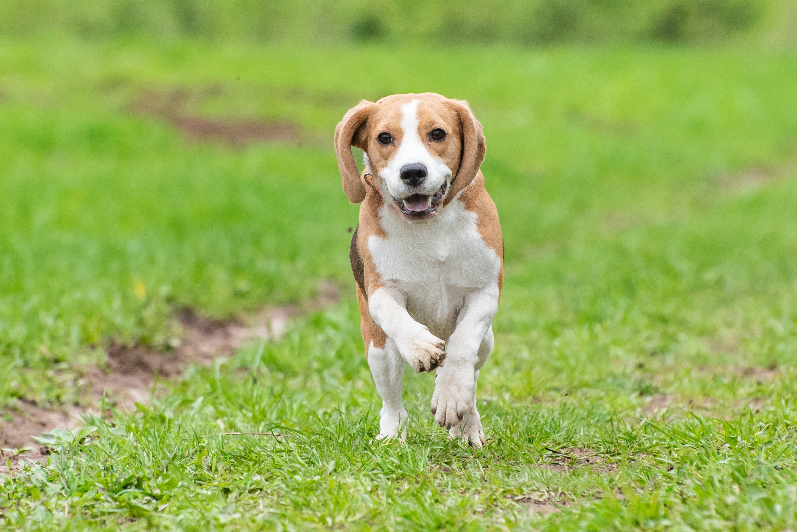 Фотографии с Курсинга. Фотограф Макс Огурцов в Нижнем Новгороде