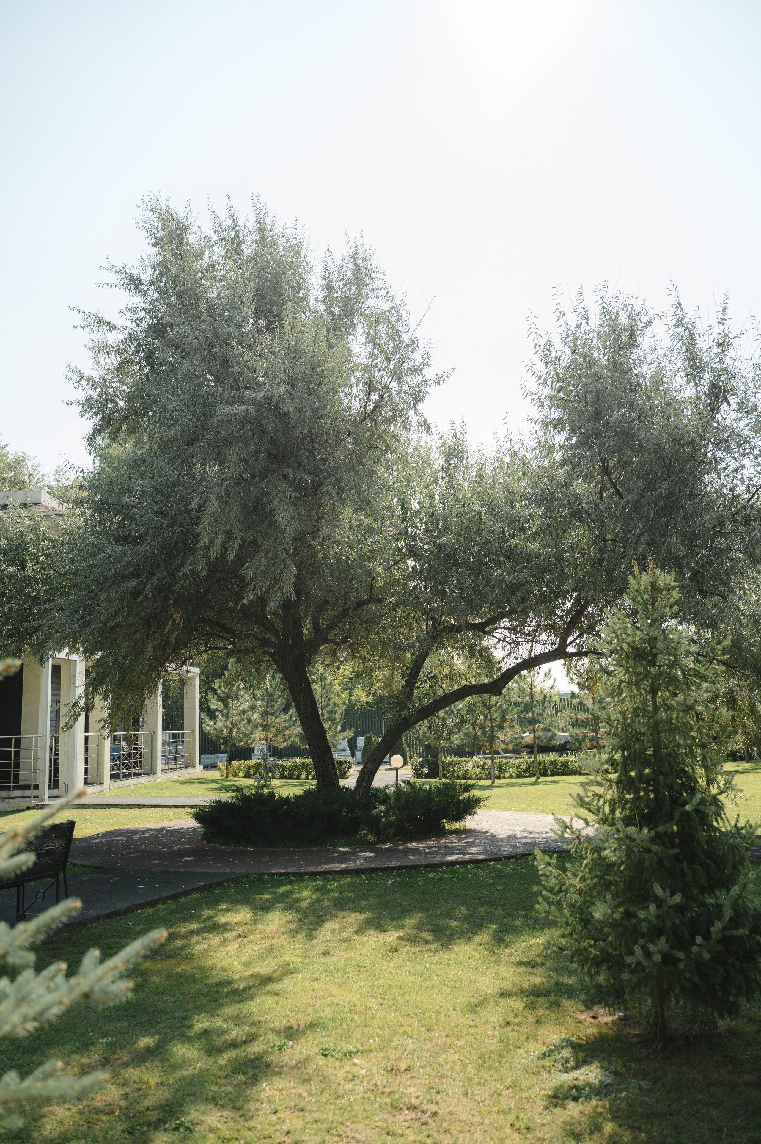 Арина и Данил. Свадебный фотограф Тольятти Самара Холмов Артем