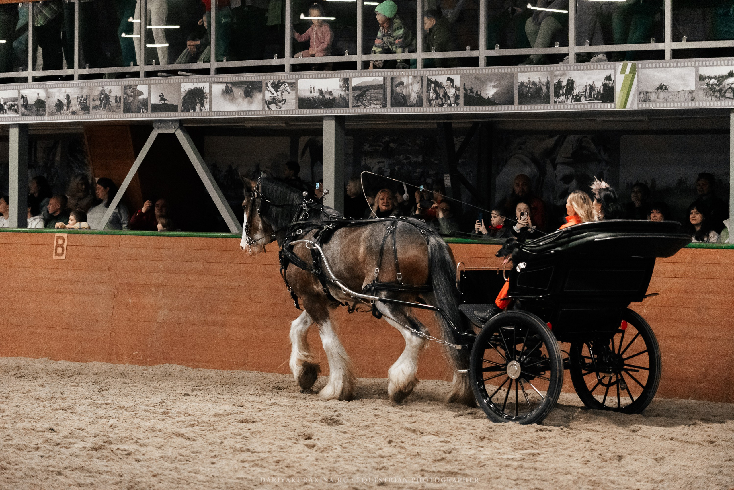 Конное представление «Дыхание Звёзд». Конный фотограф Куракина Дарья • Фотосессии с лошадьми