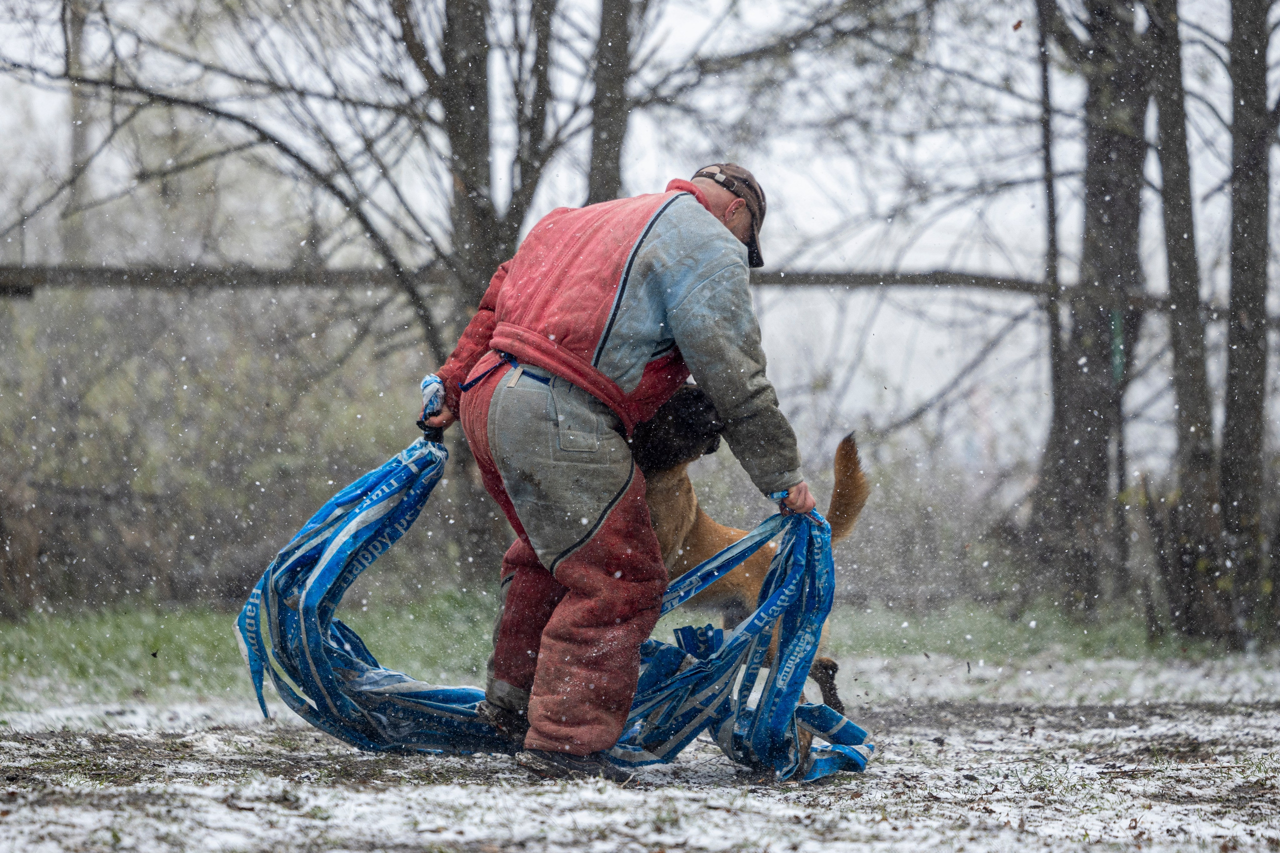 Квалификационные состязания по мондьорингу г. Вологда 11.05.24. Фотограф-анималист Анна Маринич