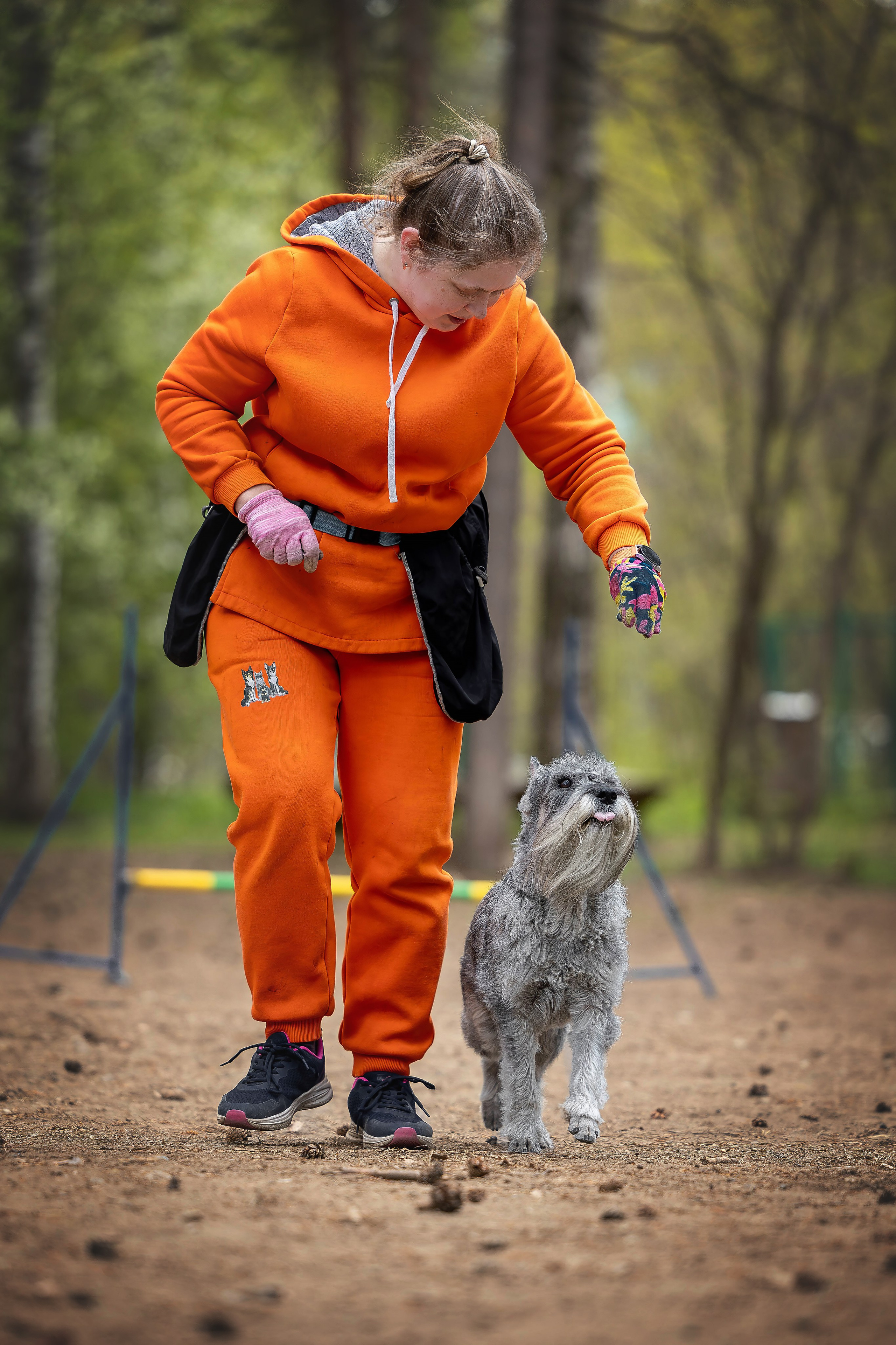Тренировка аджилити. Фотограф Анималист в Перми Анастасия Остерман