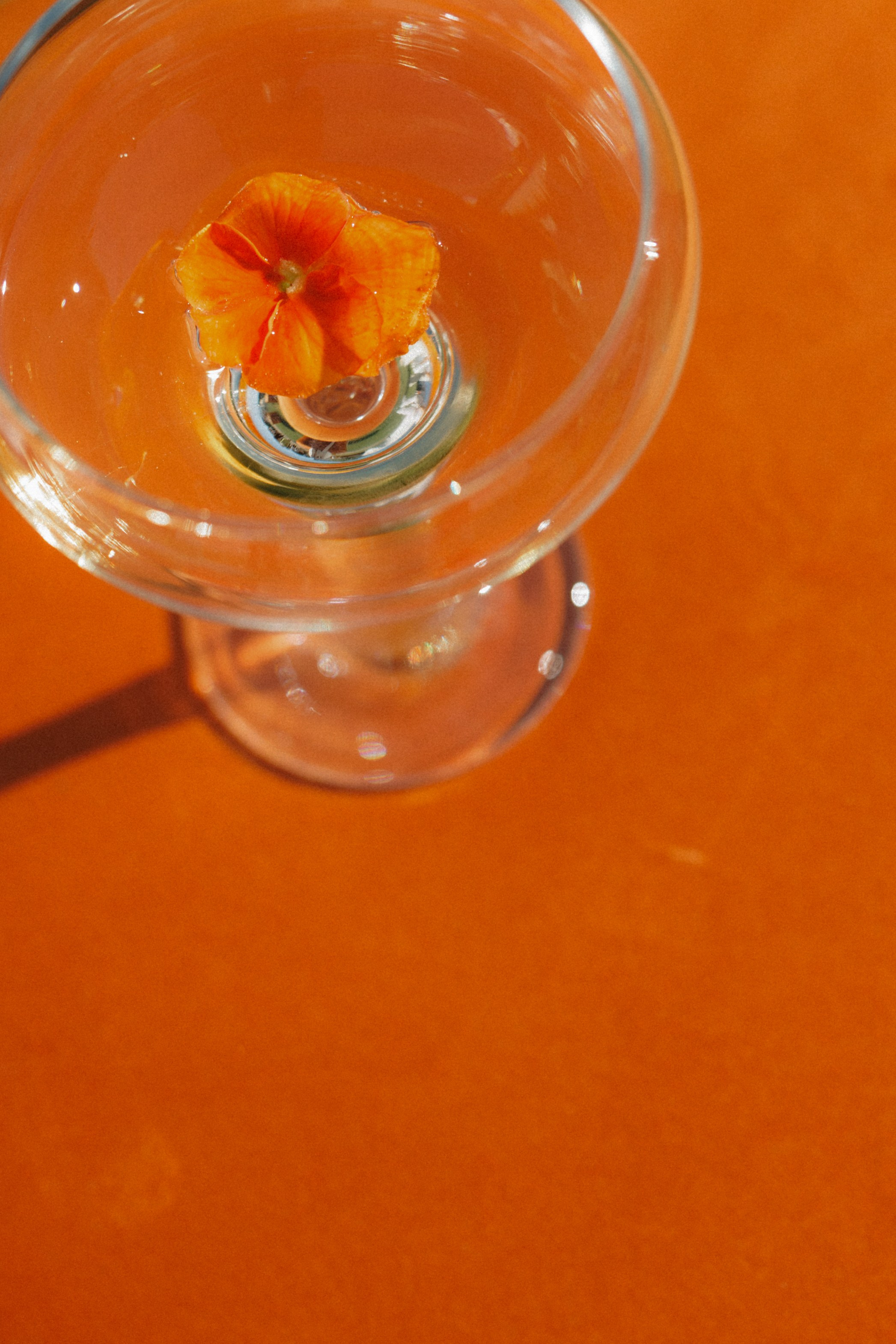 D+E. Свадебный и семейный фотограф Юлия Сафронова