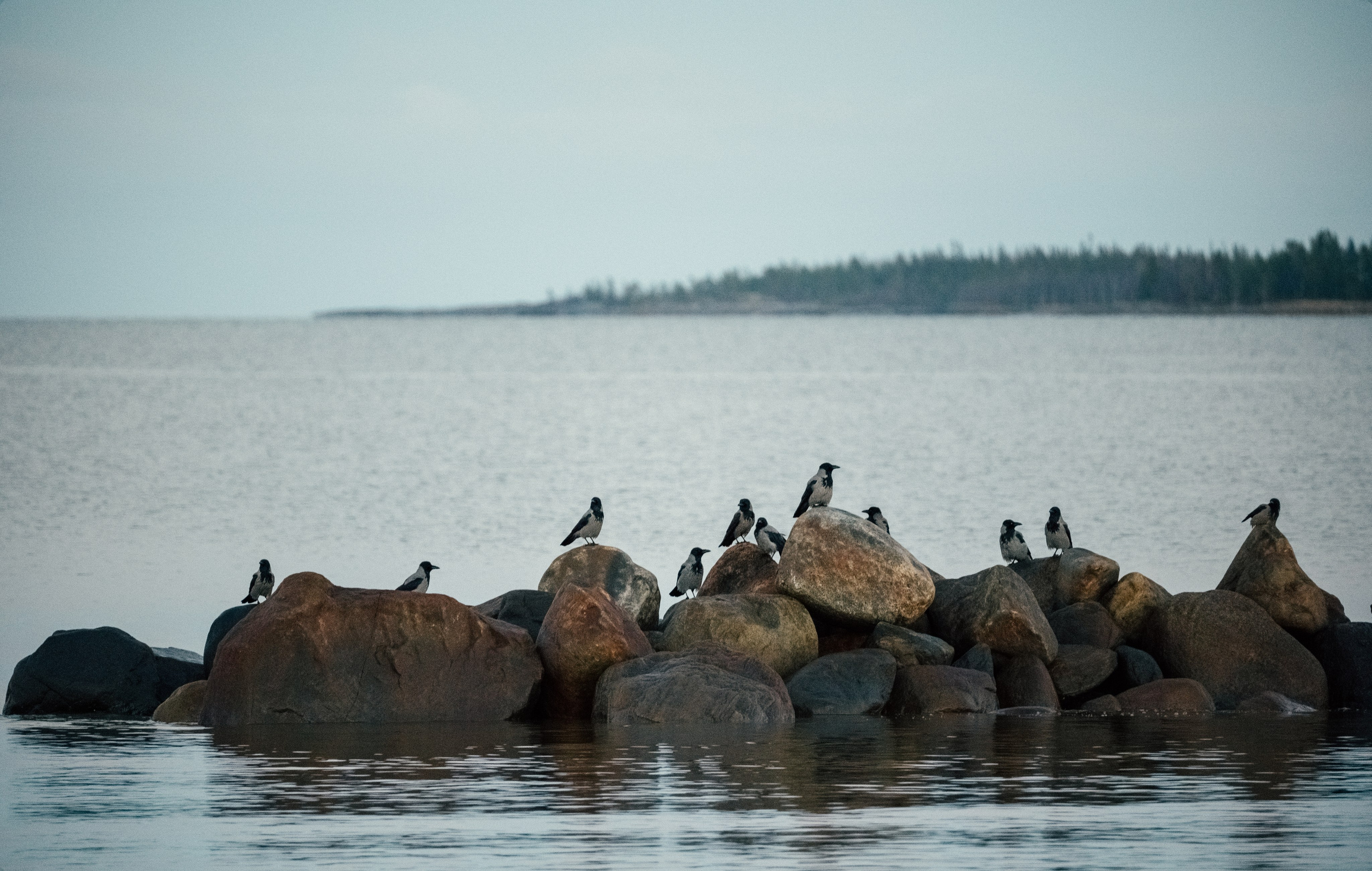 КАРЕЛИЯ / ОСЕНЬ. Создание контента | Фото | Видеосъемка | Александр Ярков