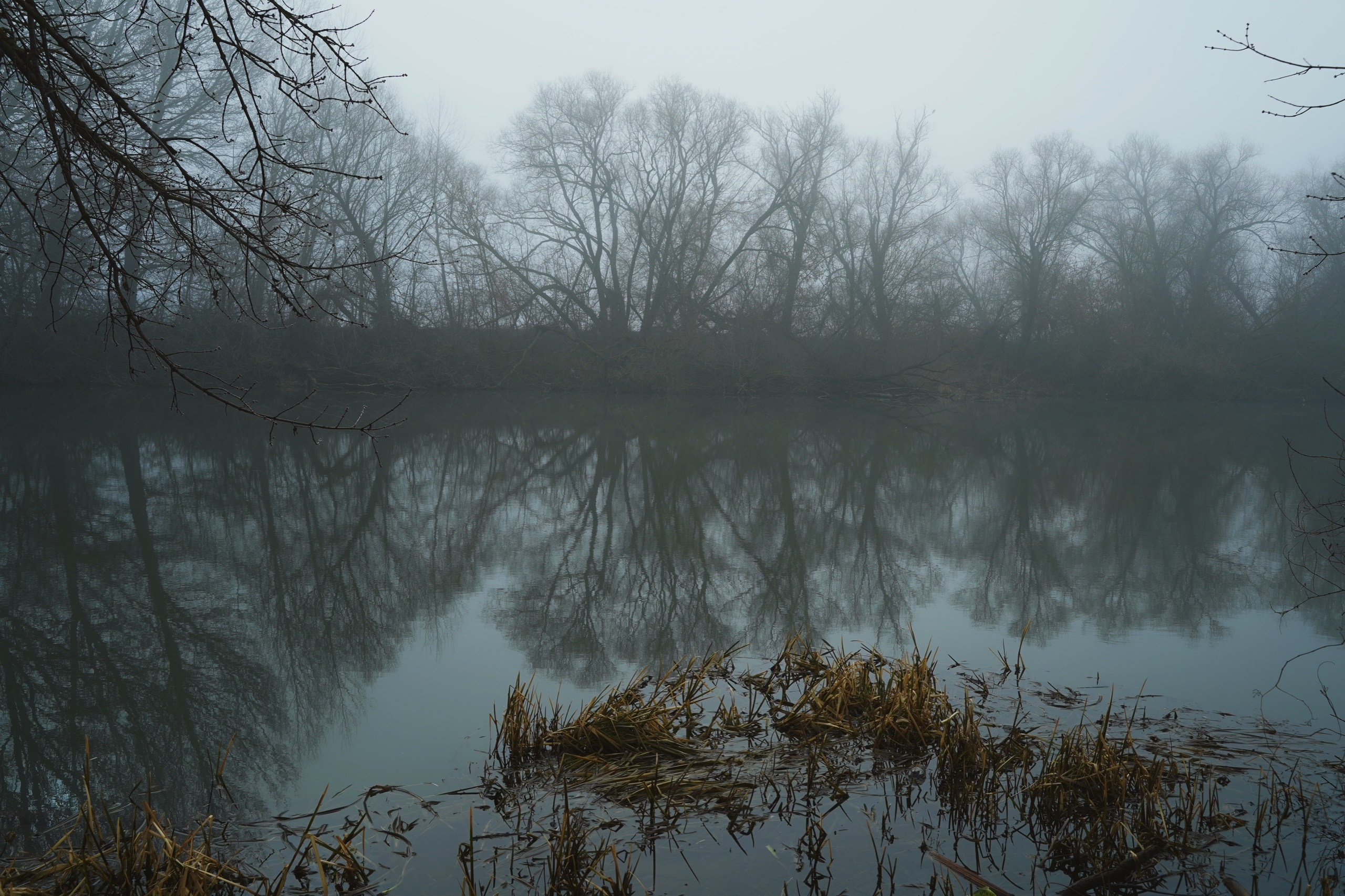 DIRTY RABBIT. Фотограф и визуальный художник в Туле / Николай Рейзвих