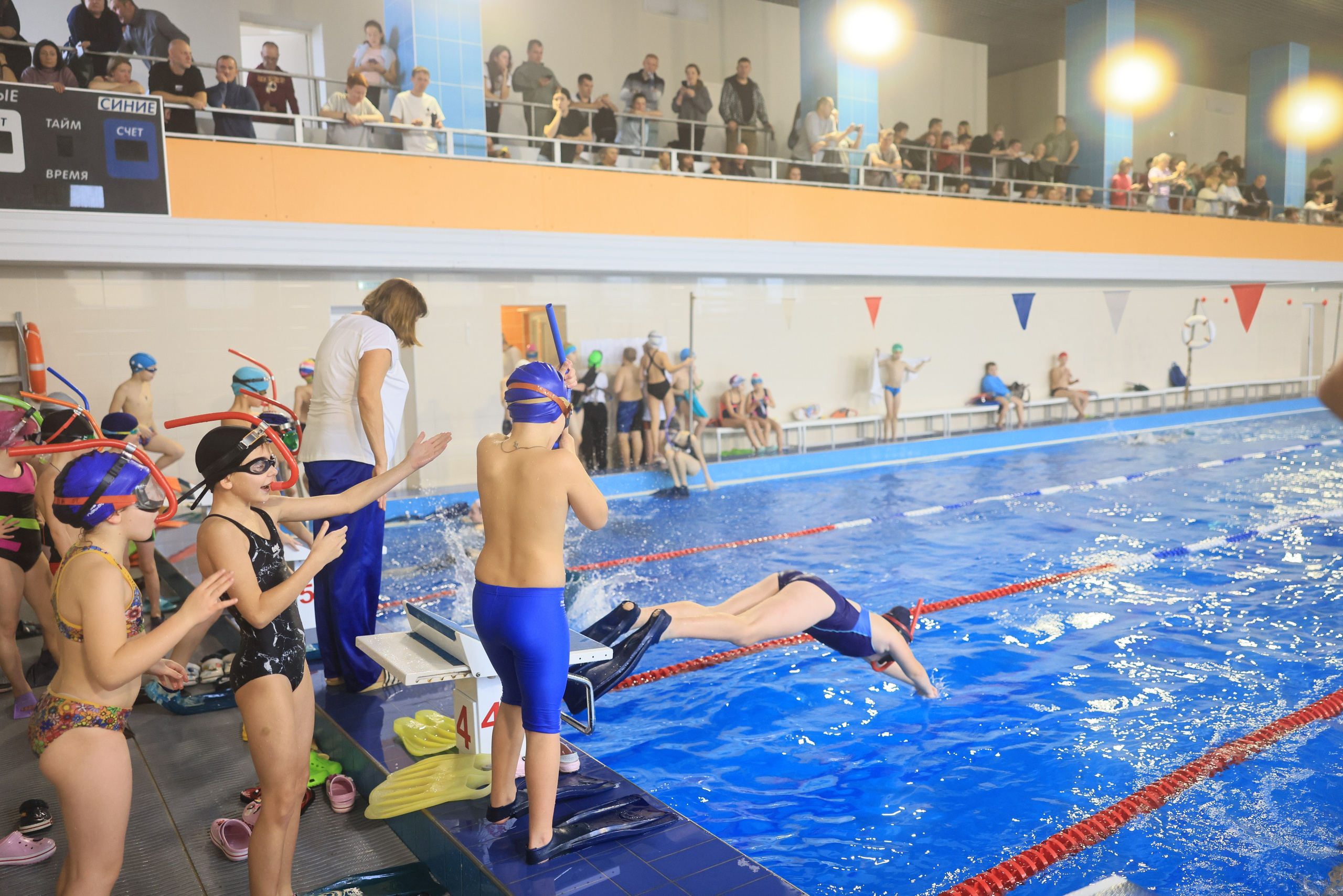 Плавание в ластах (разные годы, более 10 репортажей выборка пополняемая). Фотограф в Туле Крупский АнДРей. Фотостудия «КАДР71» в Туле