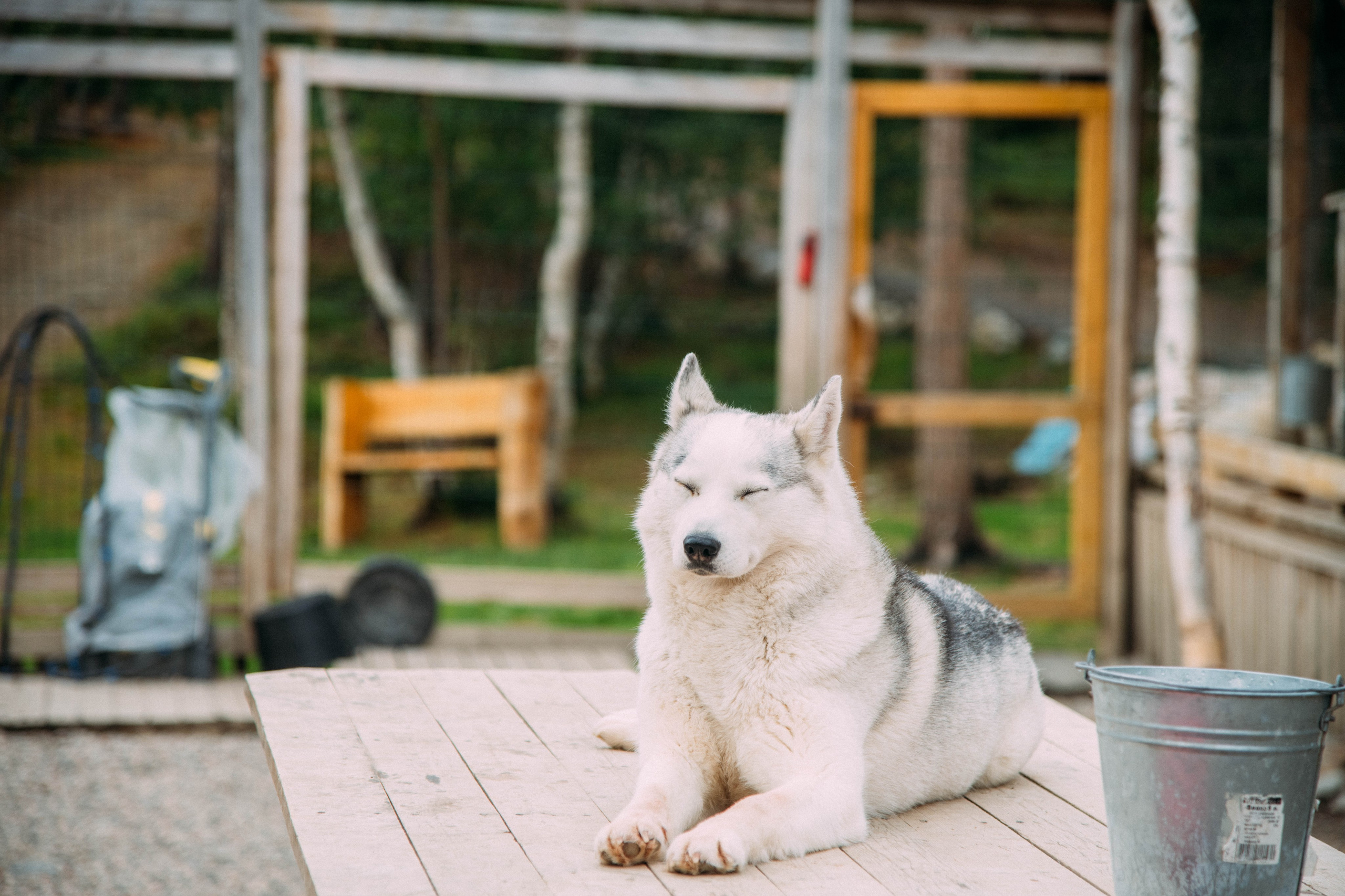 Кольский полуостров. Фотографирую для себя, своей семьи и друзей!