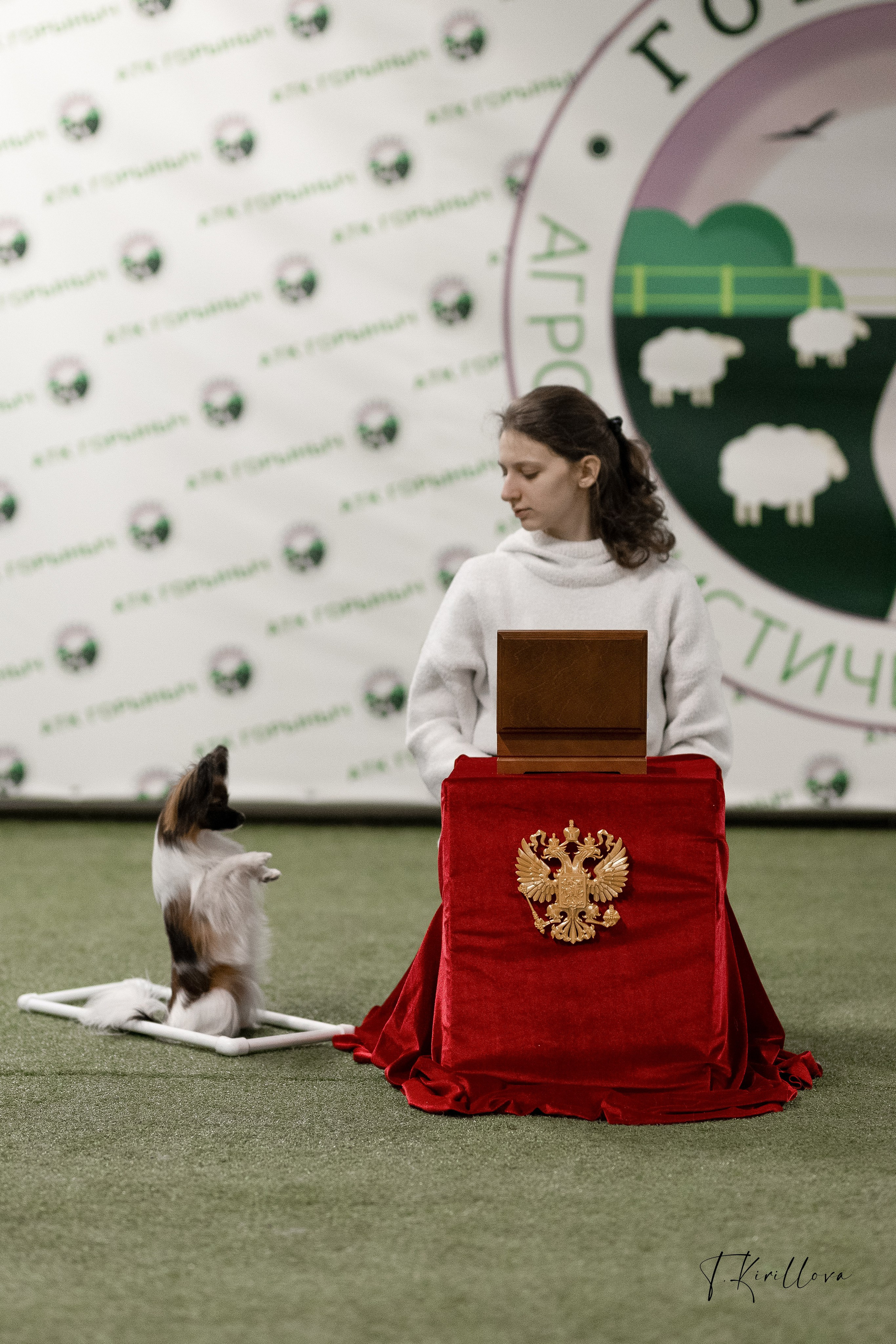 Лагерь по танцам 2026. Фотограф-анималист в Москве Кириллова Татьяна