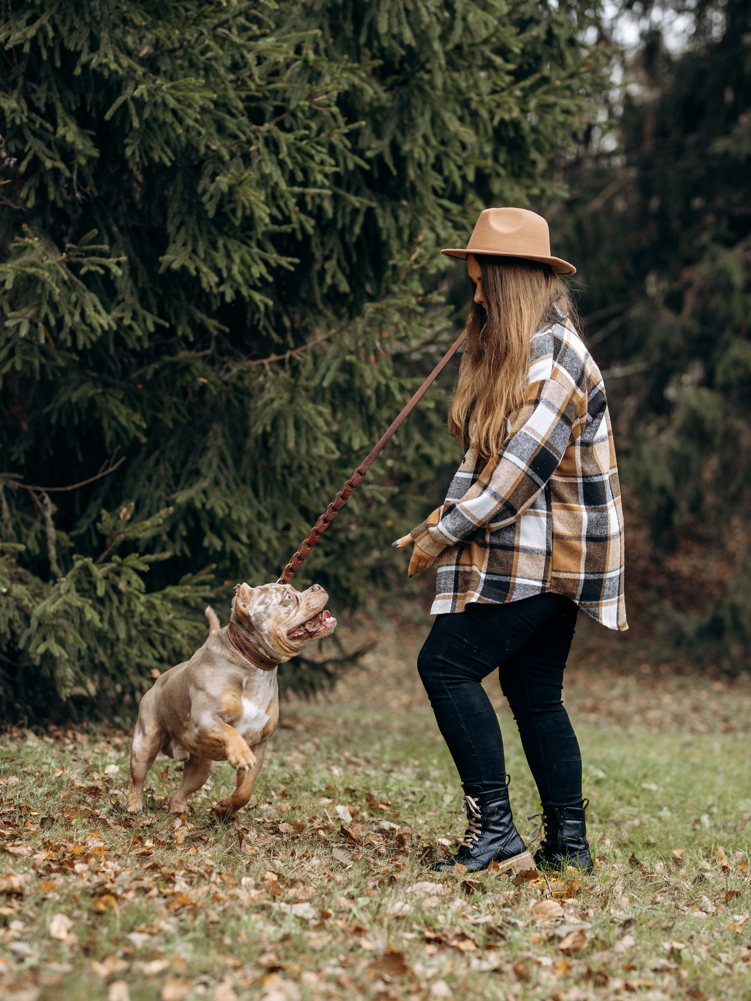 Скай, Марти и Катя. Фотограф-анималист в Москве Кириллова Татьяна